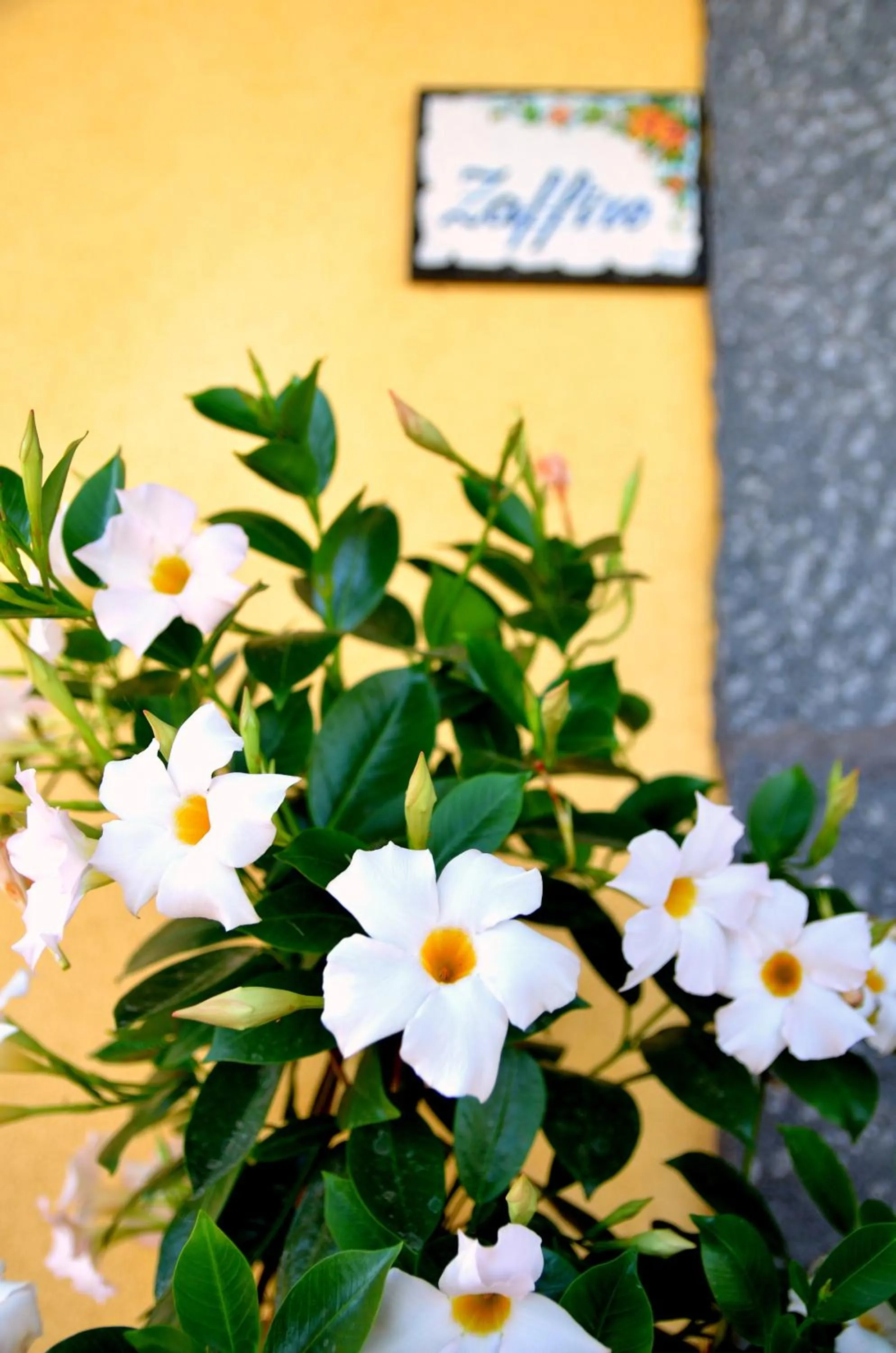 Decorative detail in La Casa del Melograno
