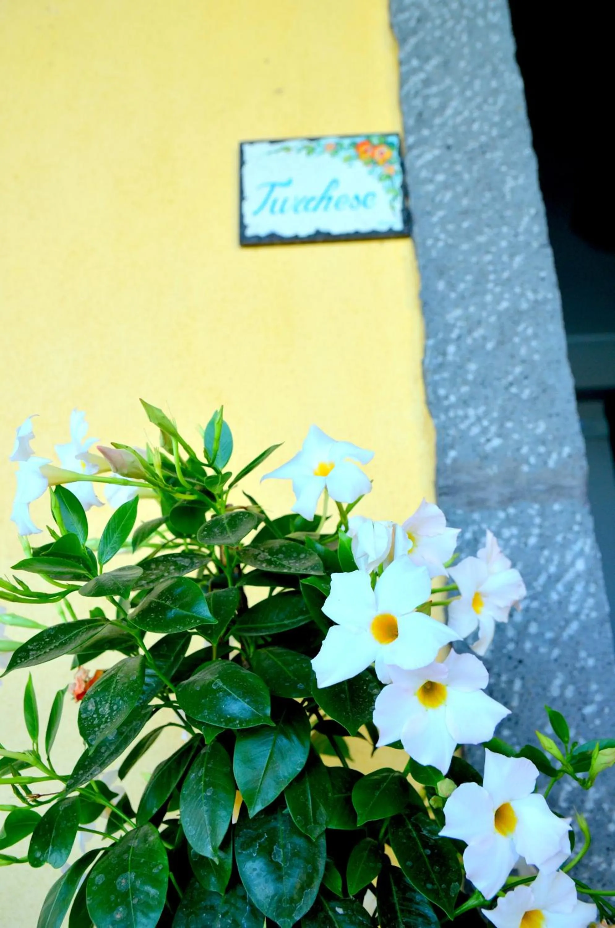 Decorative detail in La Casa del Melograno