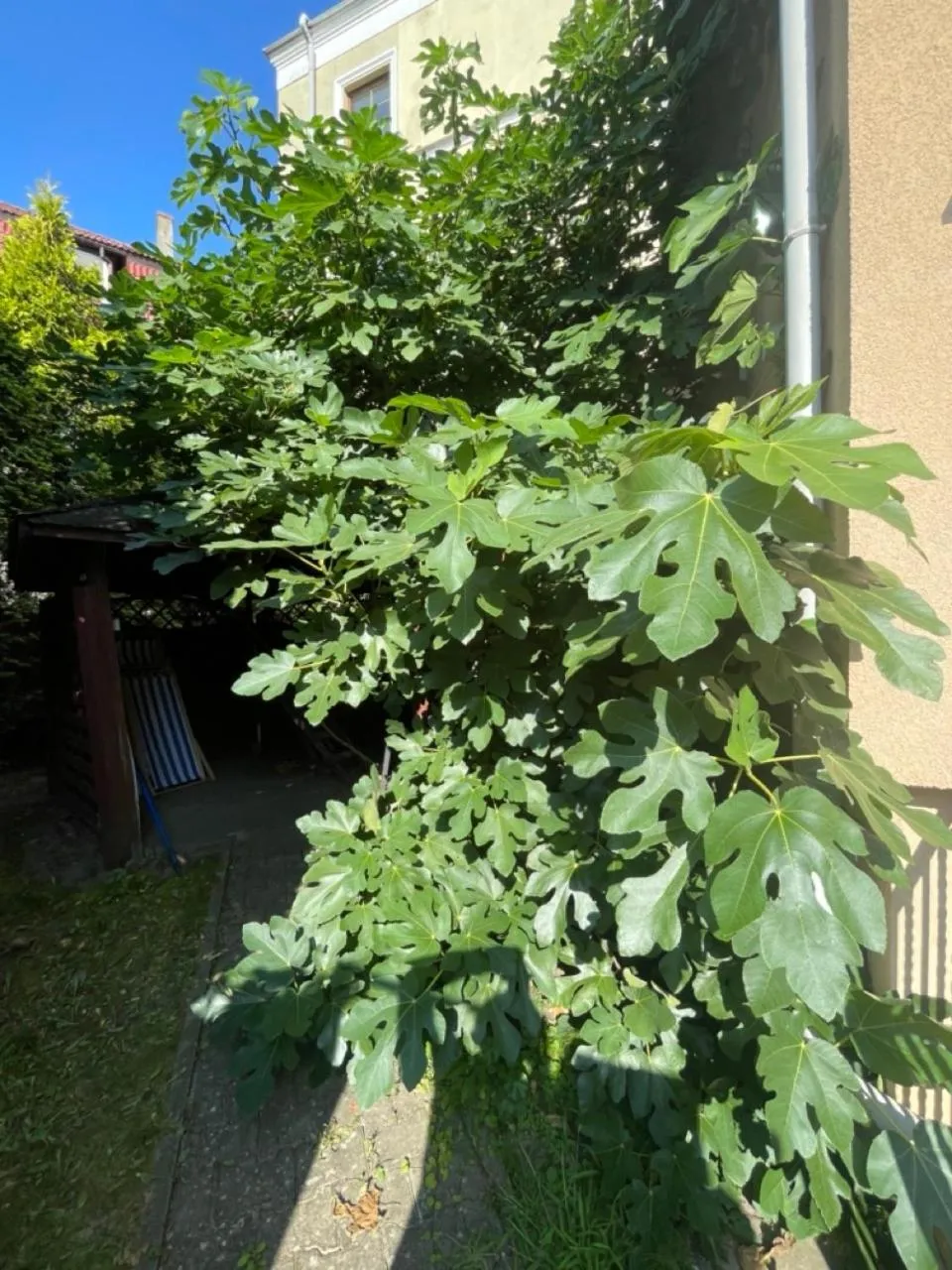 Property building in Hotel Bończa