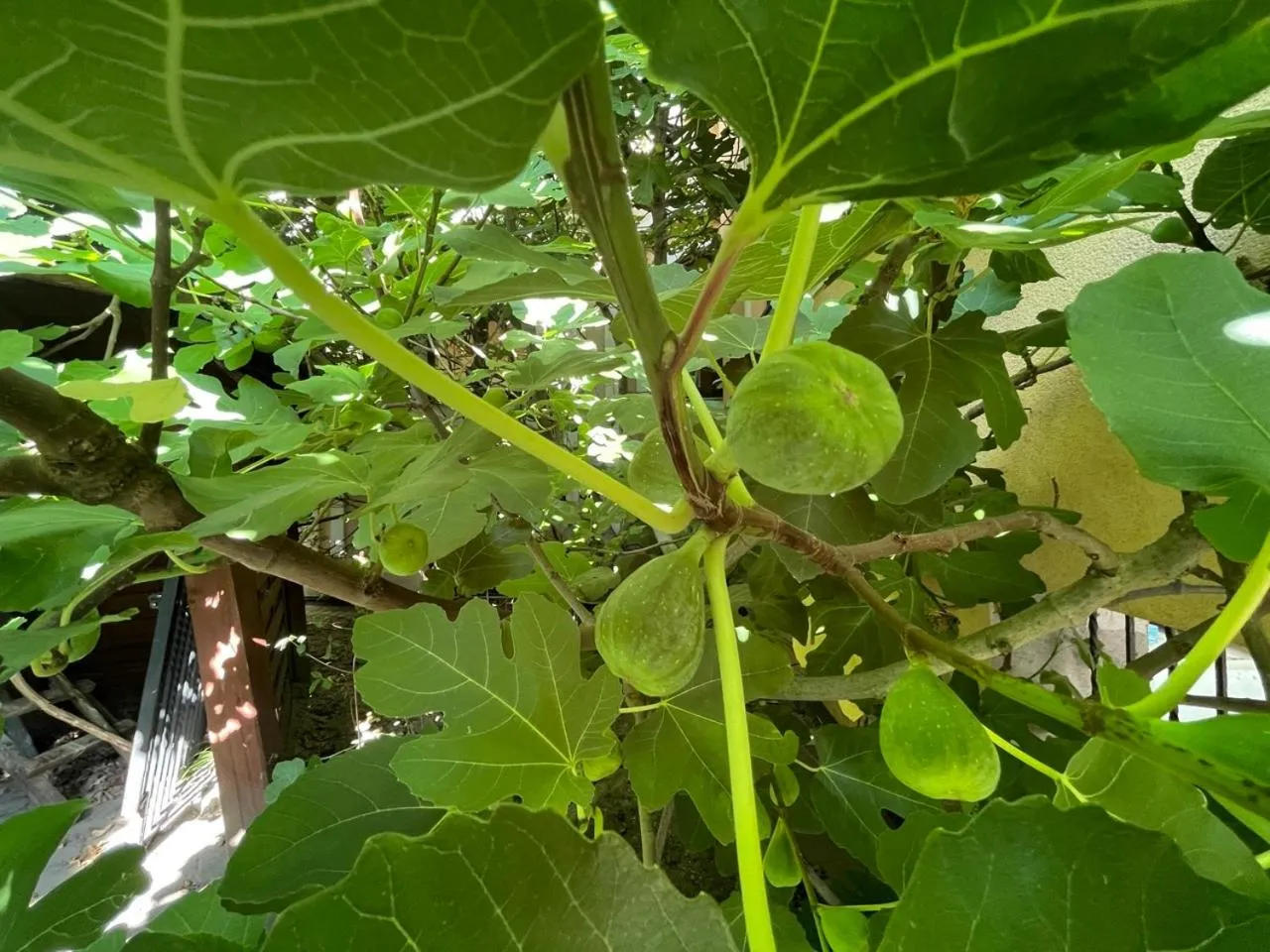 Property building in Hotel Bończa