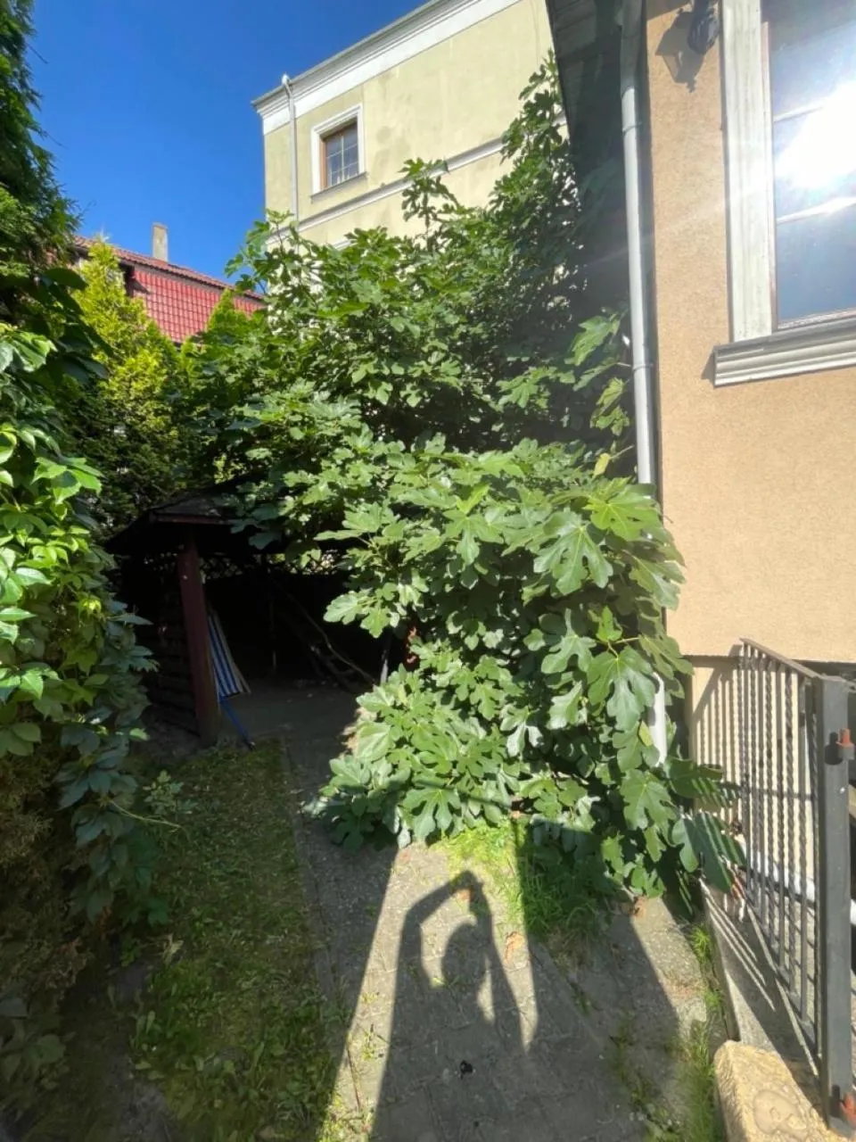 Property building in Hotel Bończa