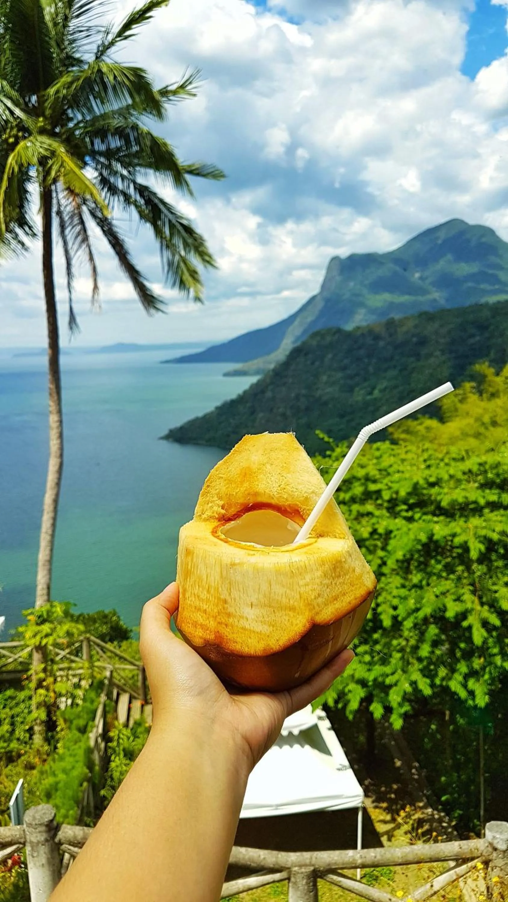 Food and drinks in Noni's Resort