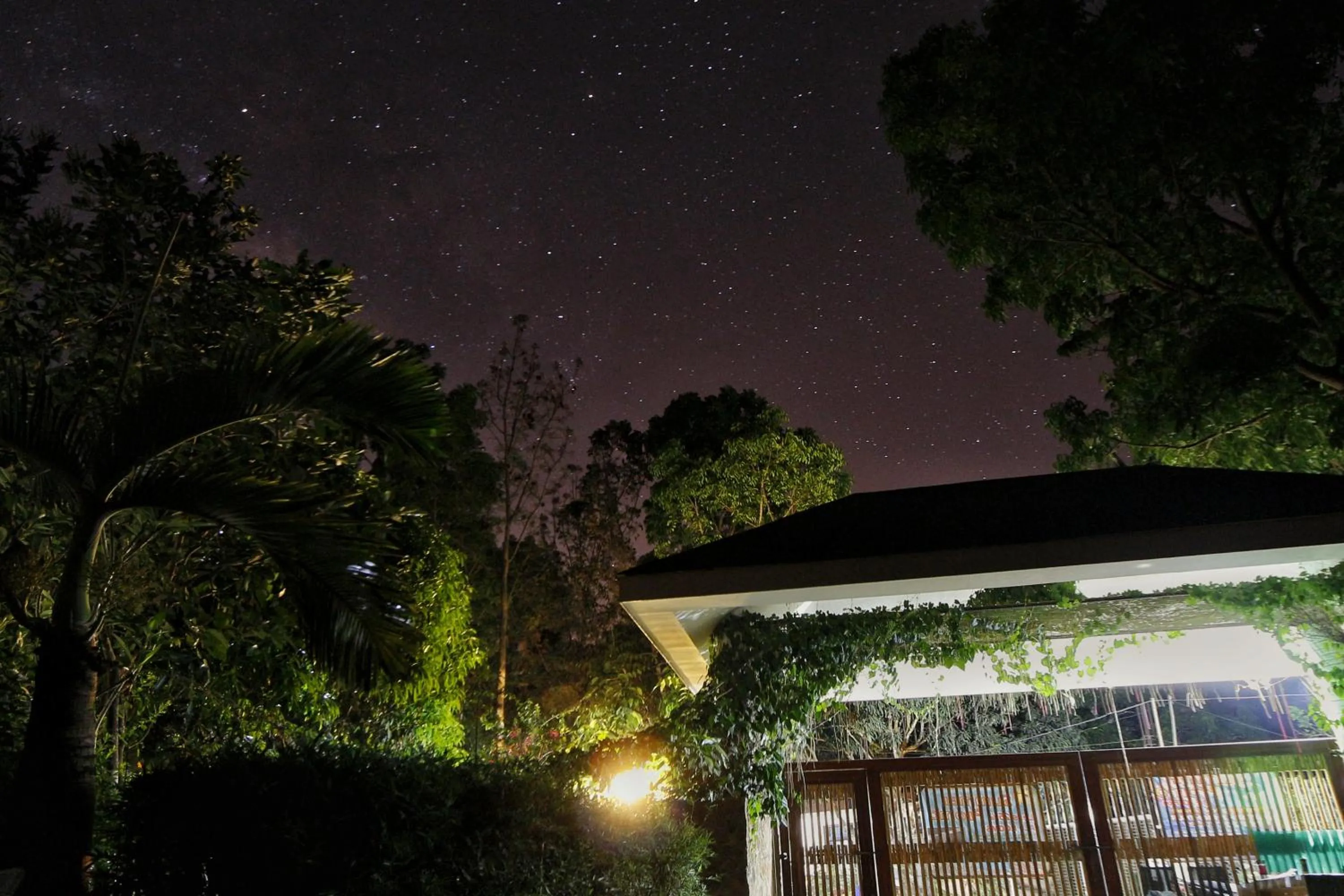 Property building in Noni's Resort