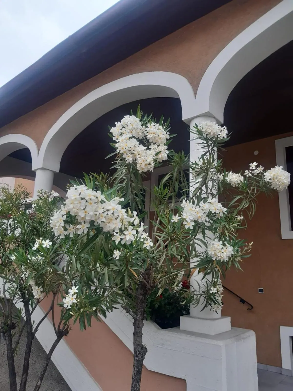 Turmhof Breitenbrunn