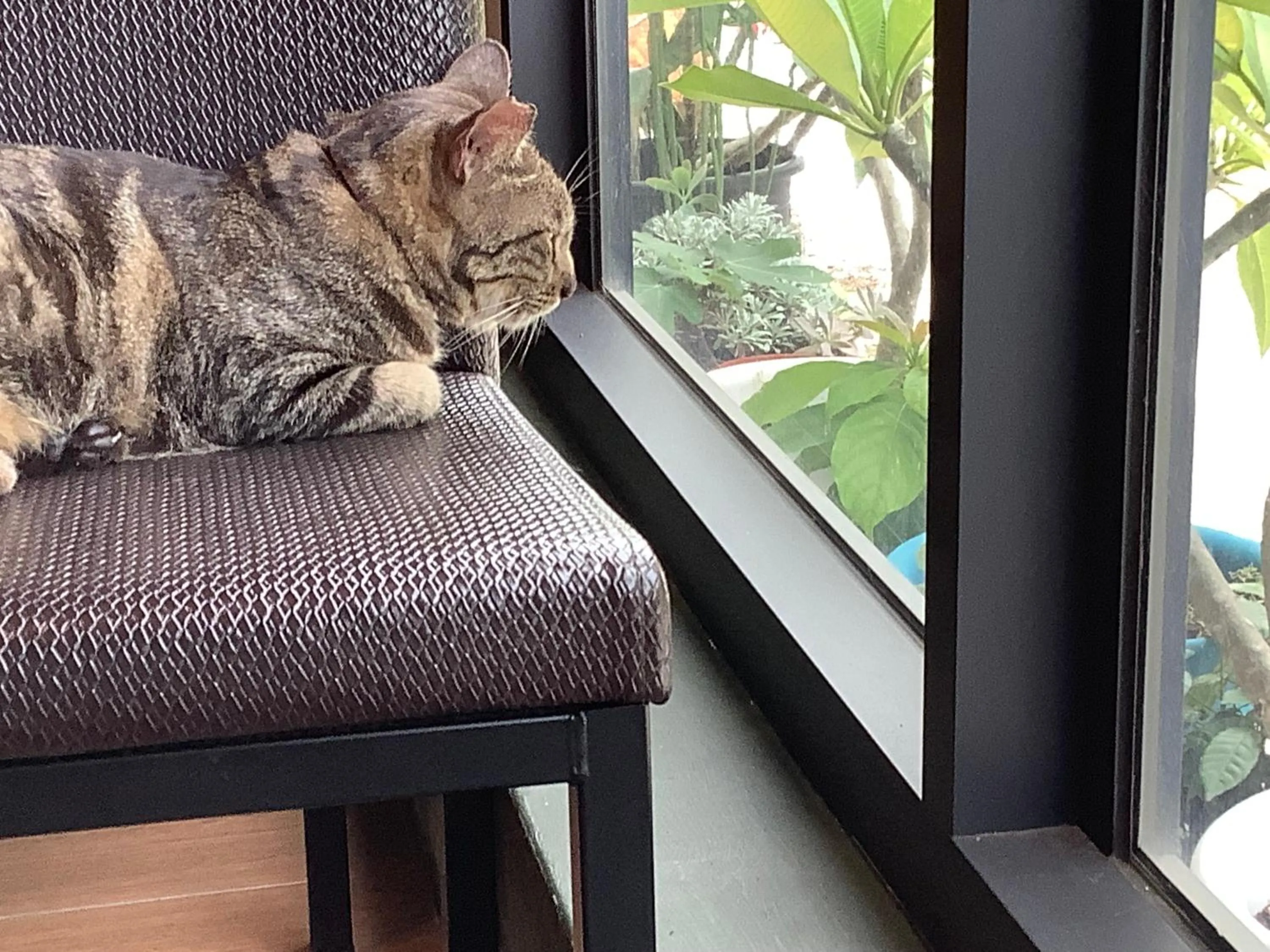 Love Travel Guest House