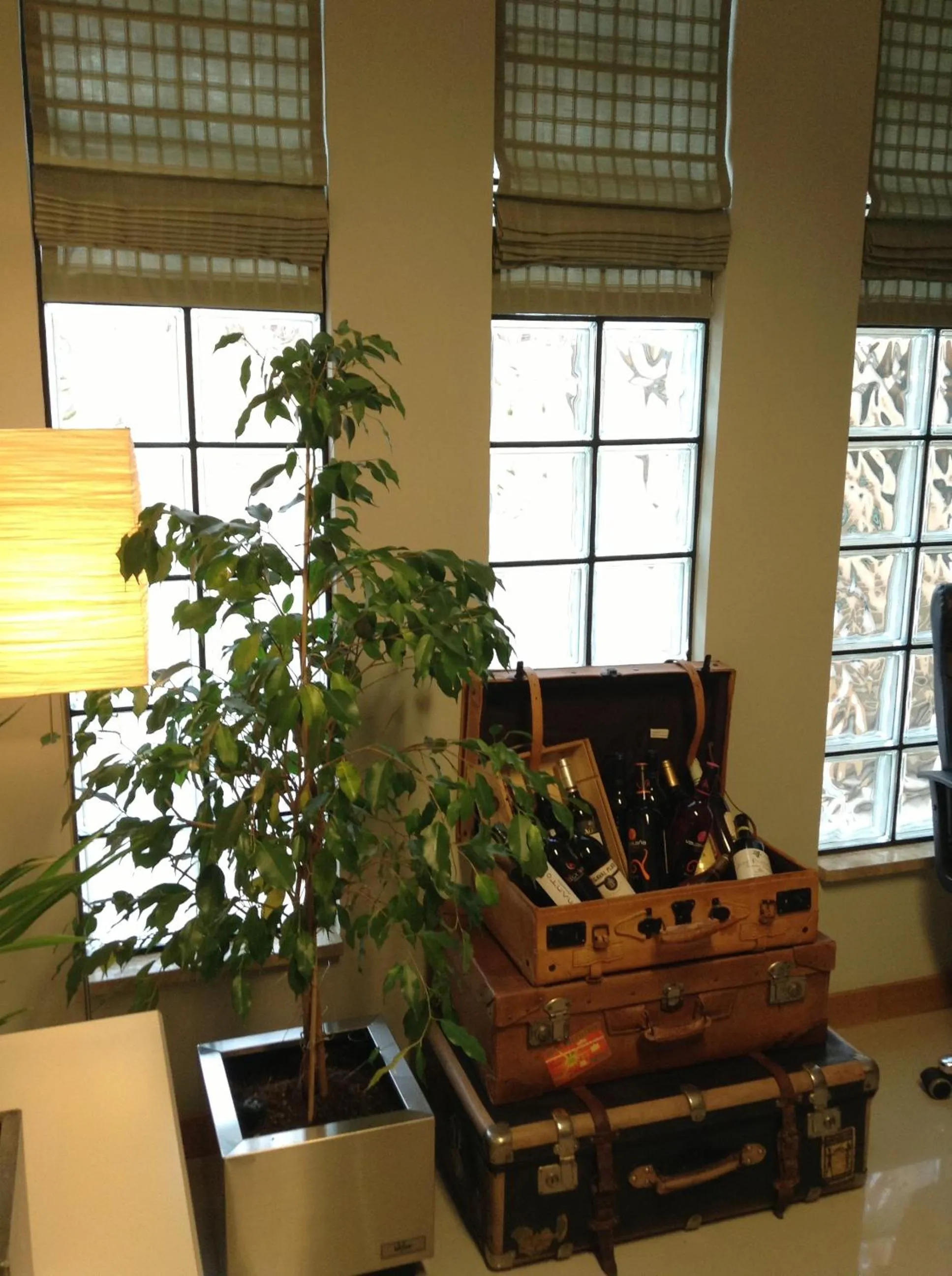 Alcoholic drinks in Hotel Central