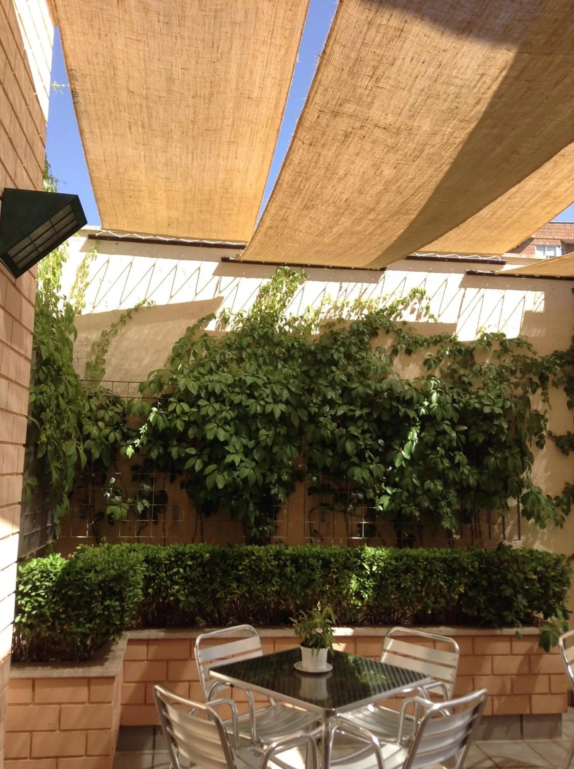 Patio in Hotel Central