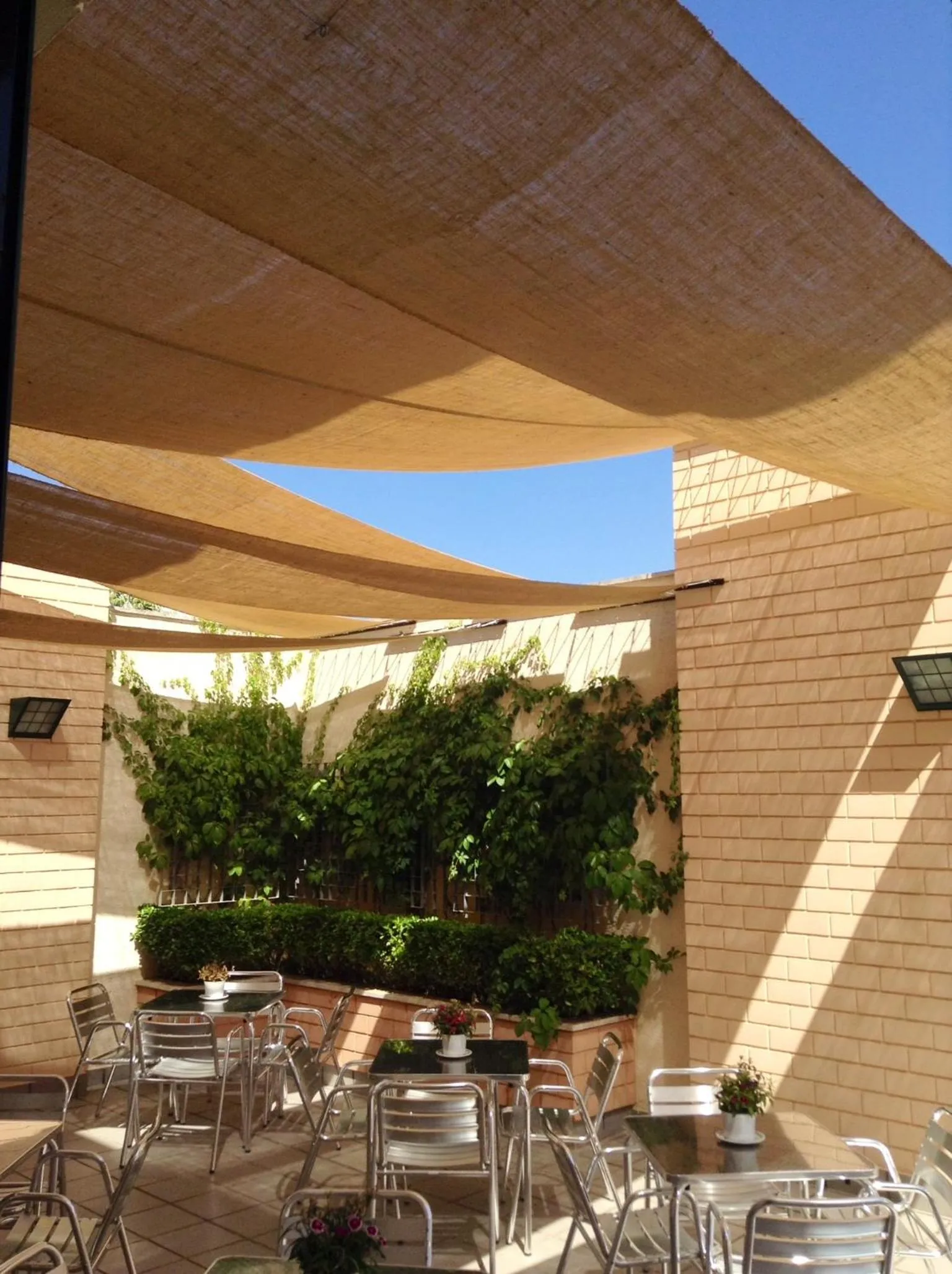 Patio in Hotel Central