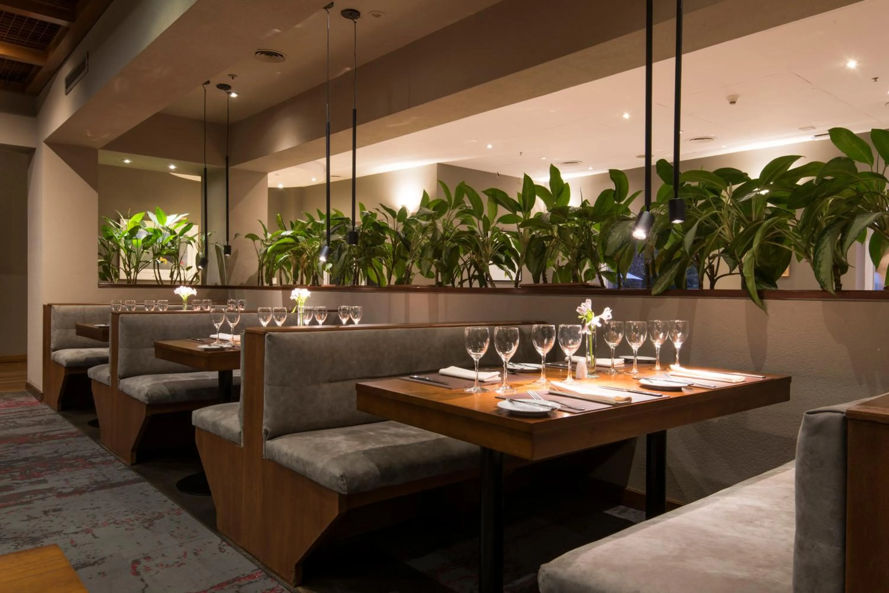 Restaurant/places to eat in Holiday Inn Cordoba by IHG