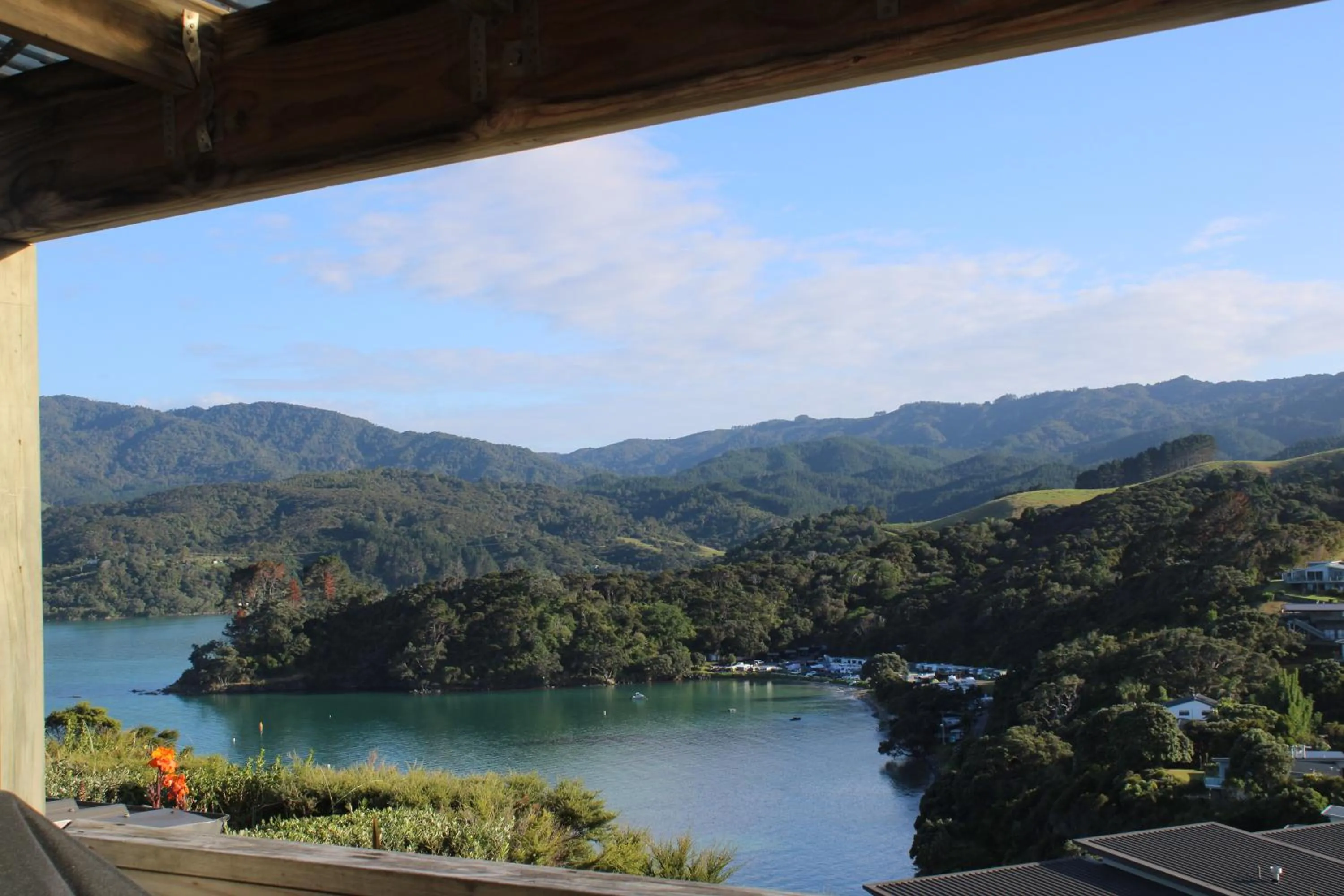 Natural landscape in Coromandel Seaview Motel