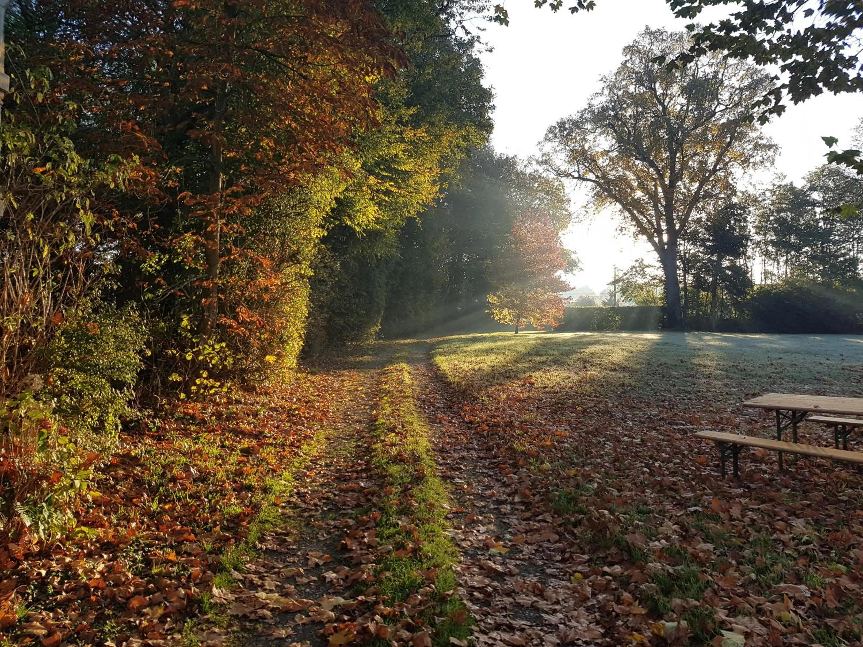 Day in Logis Hôtel Relais Des Caillères