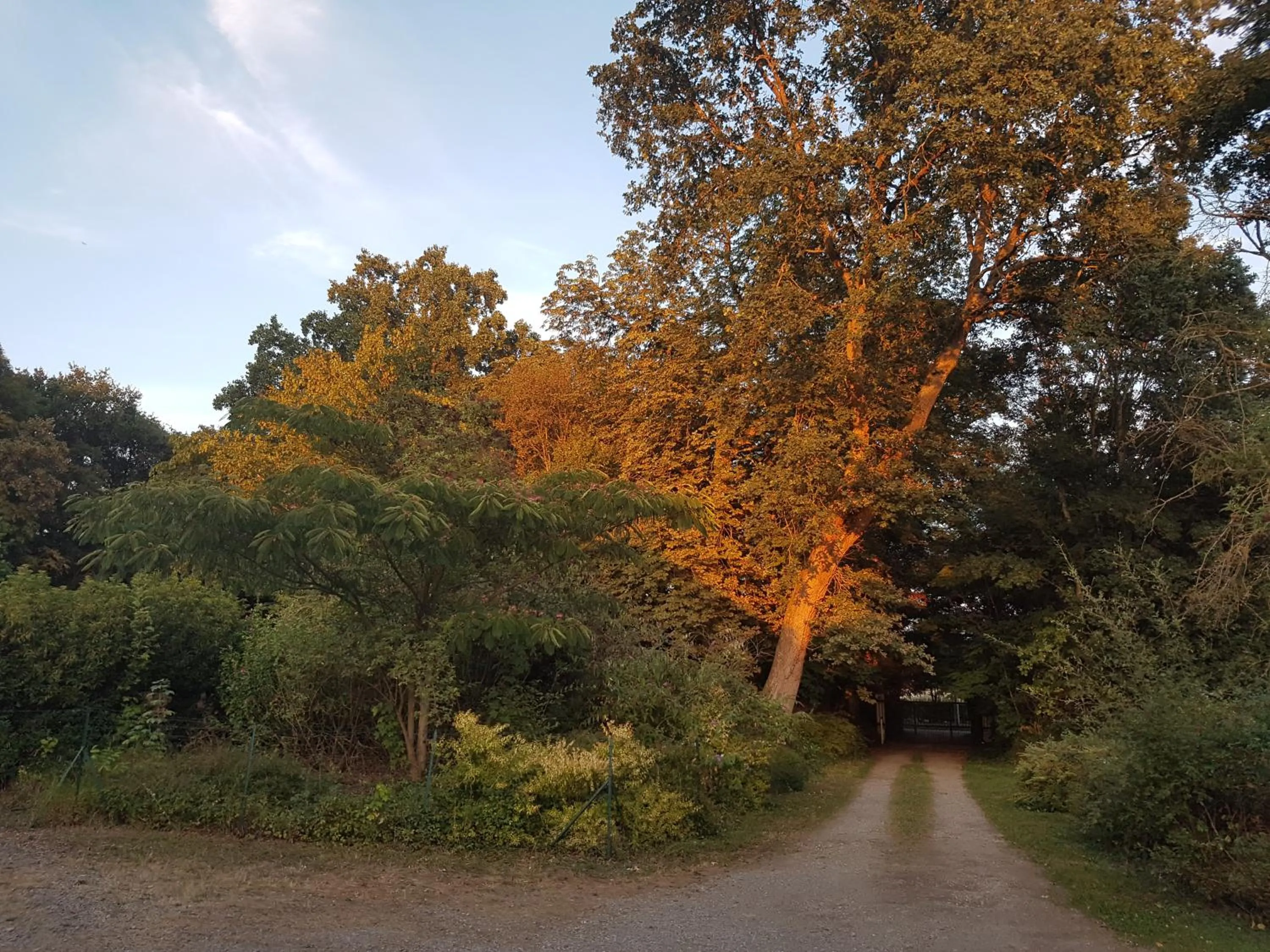 Garden view in Logis Hôtel Relais Des Caillères
