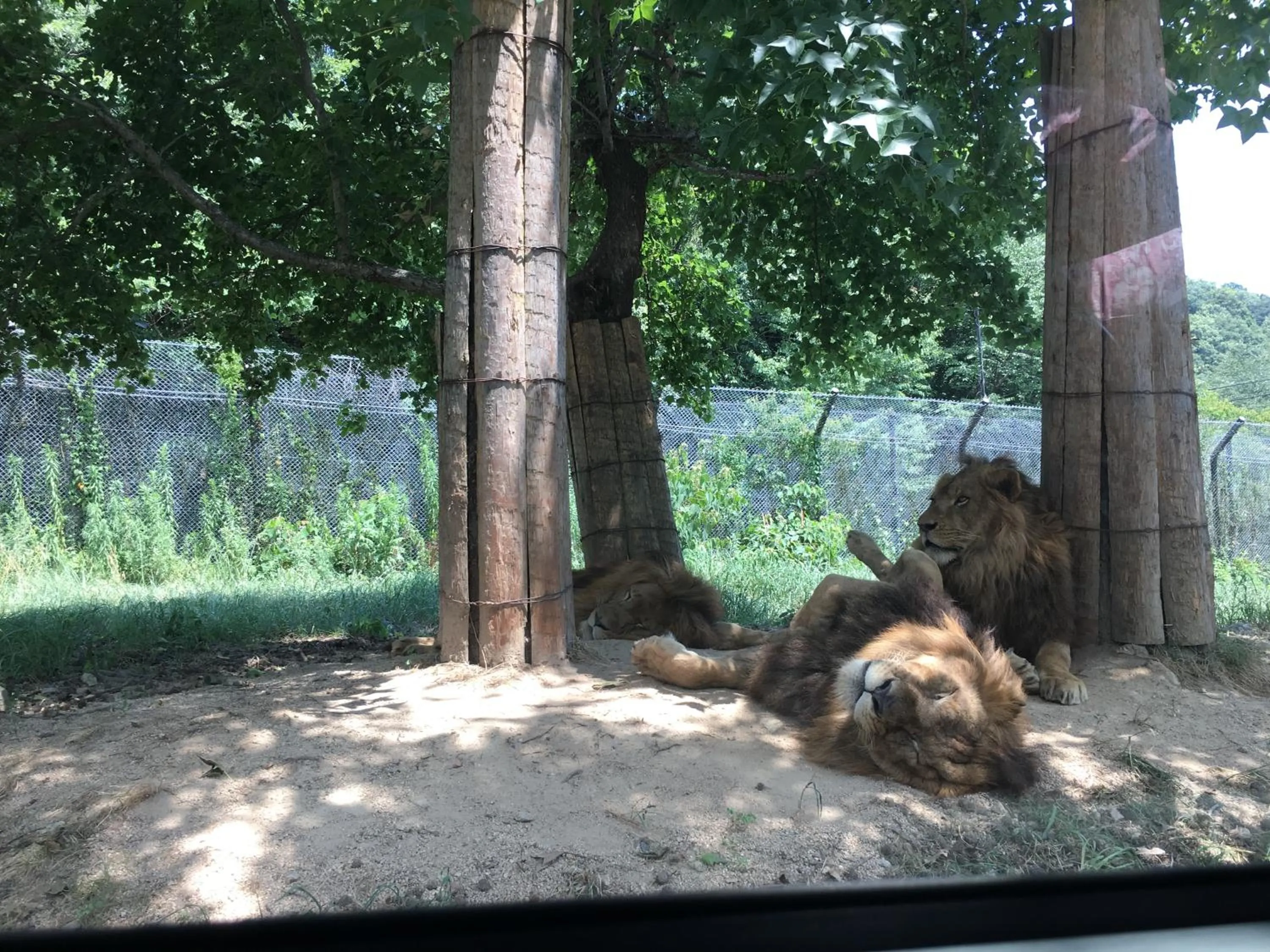 Nearby landmark in Shironoshita Guesthouse