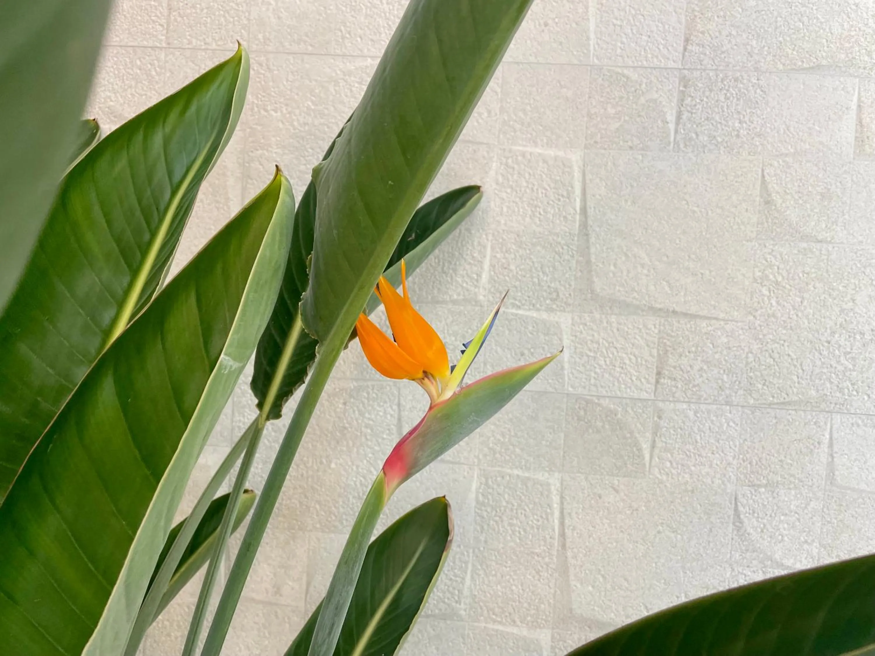 Property building in MD Design Hotel - Portal del Real