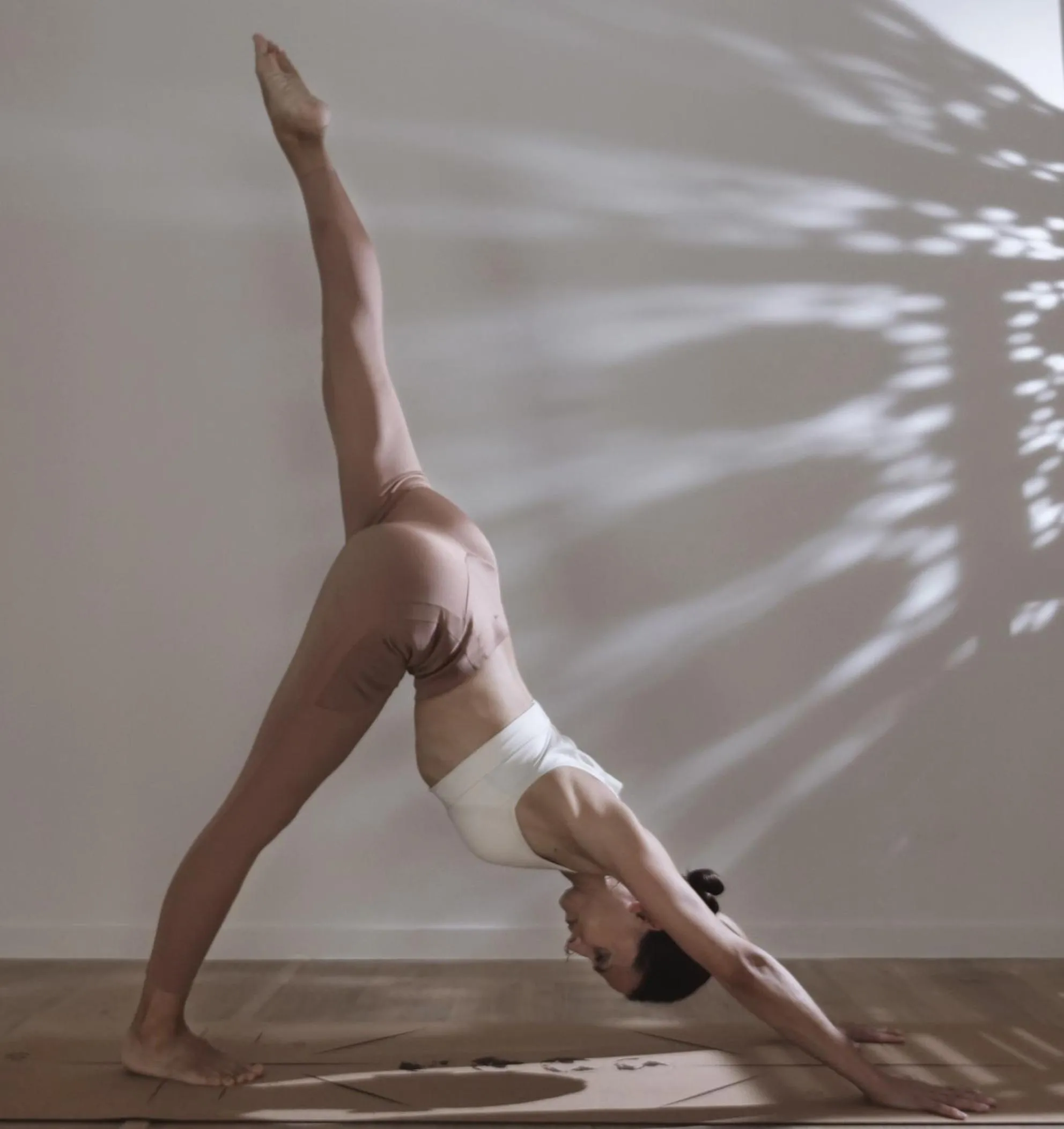 Activities in MD Design Hotel - Portal del Real