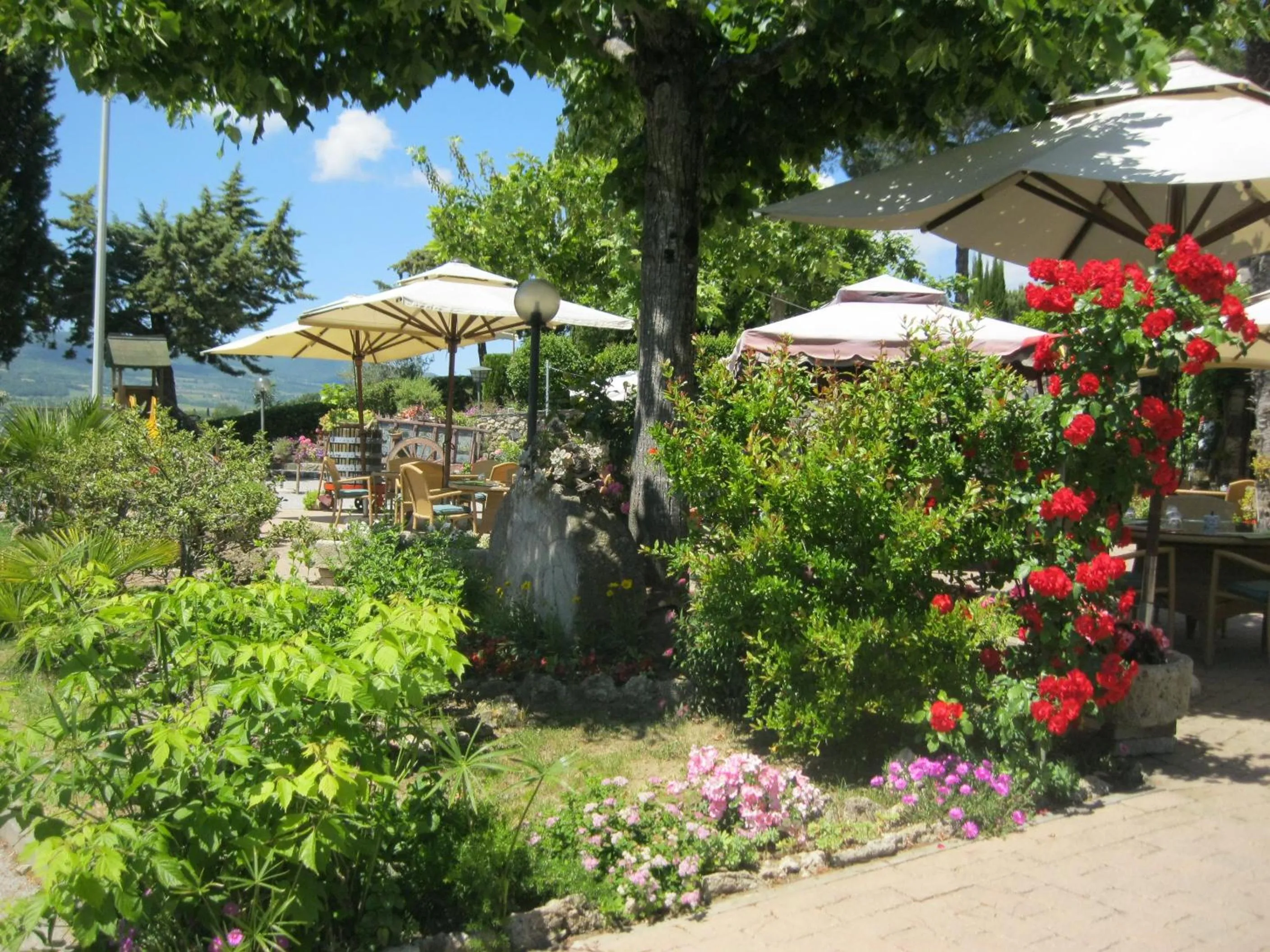 Garden in Hotel Rosati
