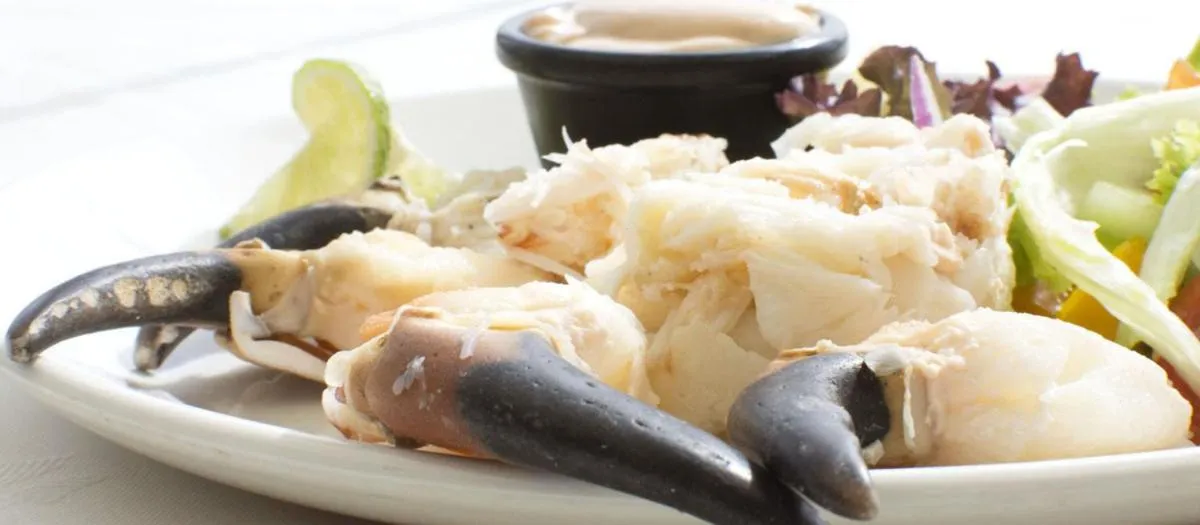 Food close-up in Achill Cliff House Hotel & Restaurant