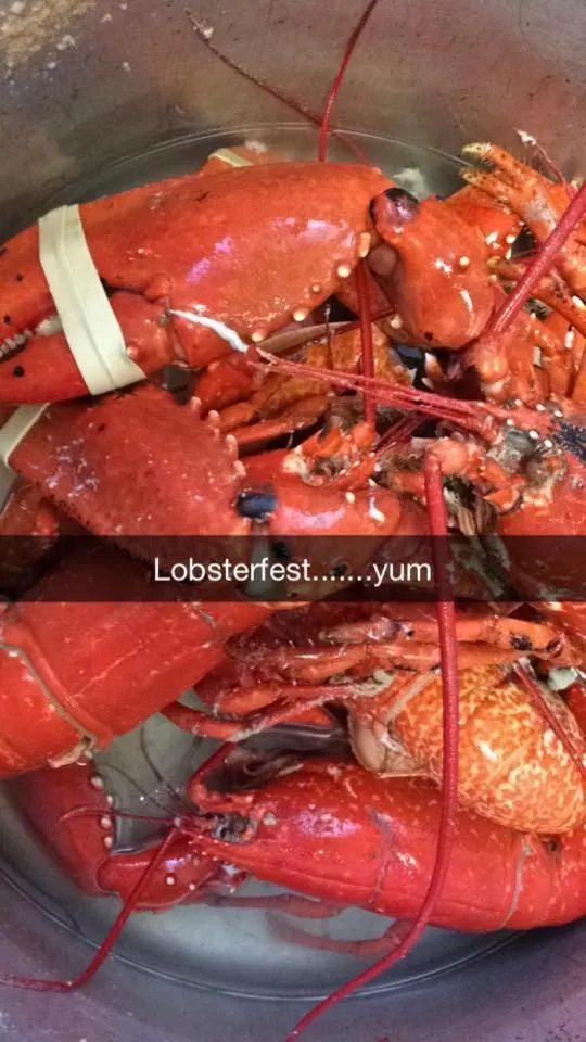 Dinner in Achill Cliff House Hotel & Restaurant