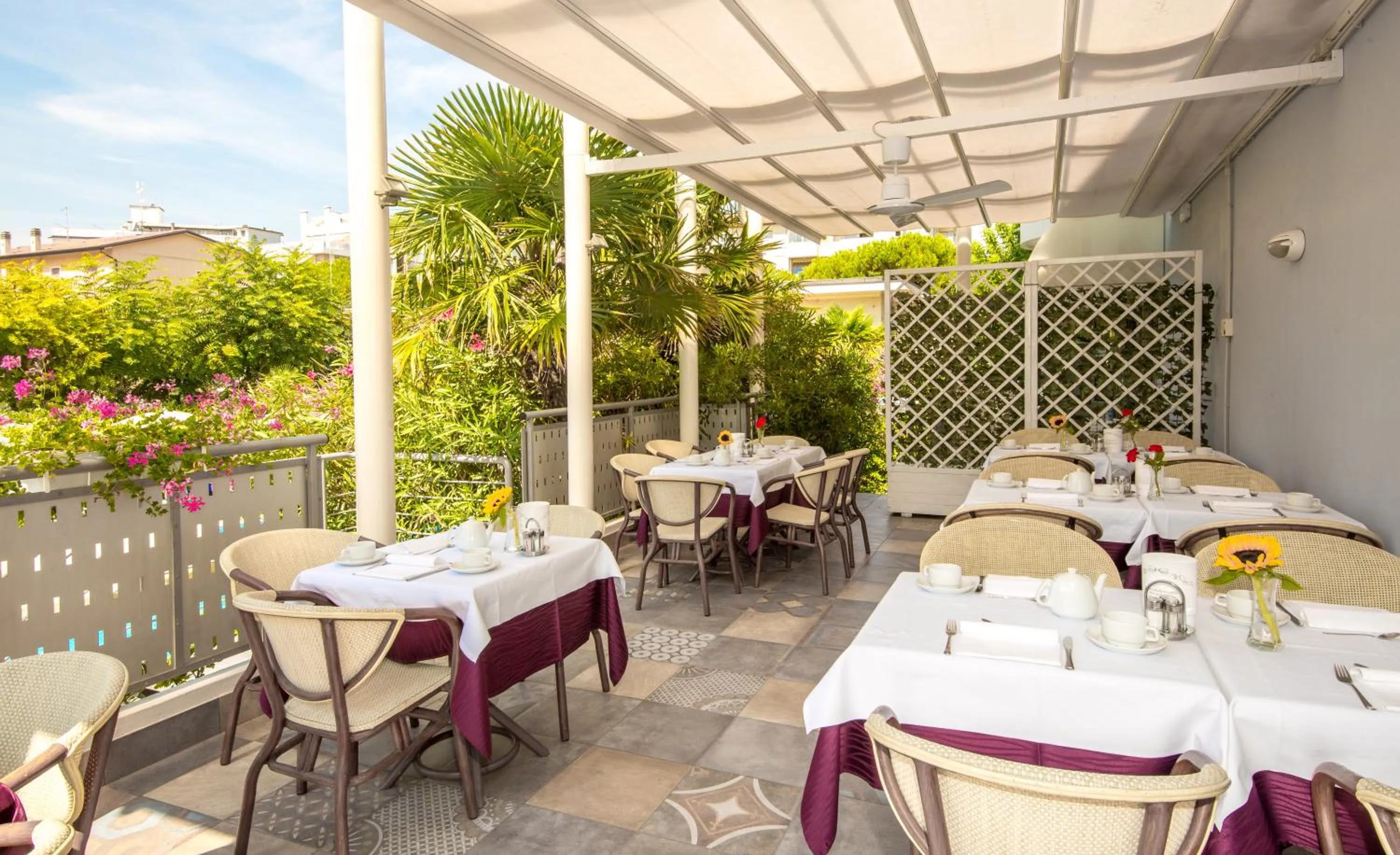 Area and facilities in Hotel Helios