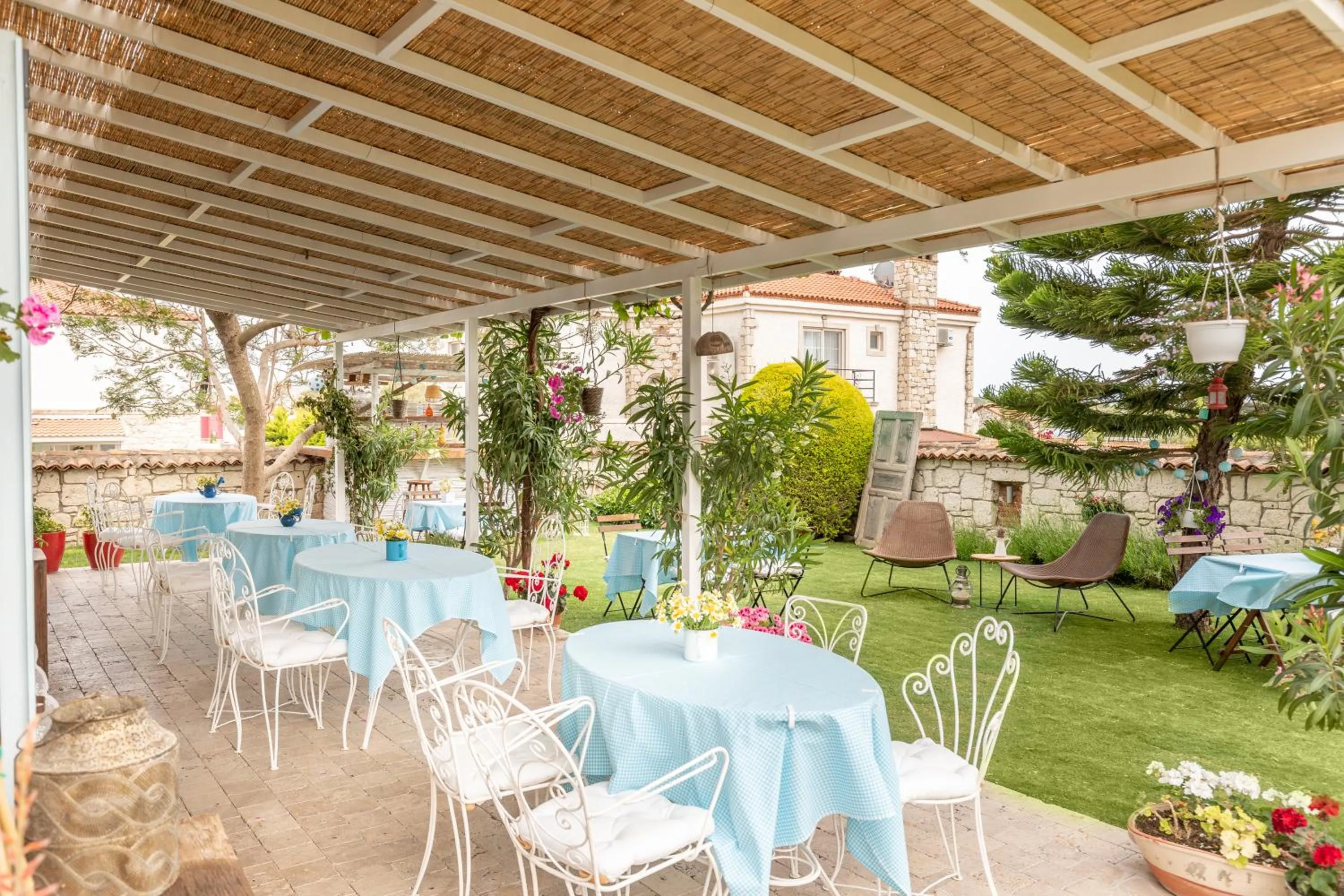 Restaurant/places to eat in Deniz Kabugu Hotel