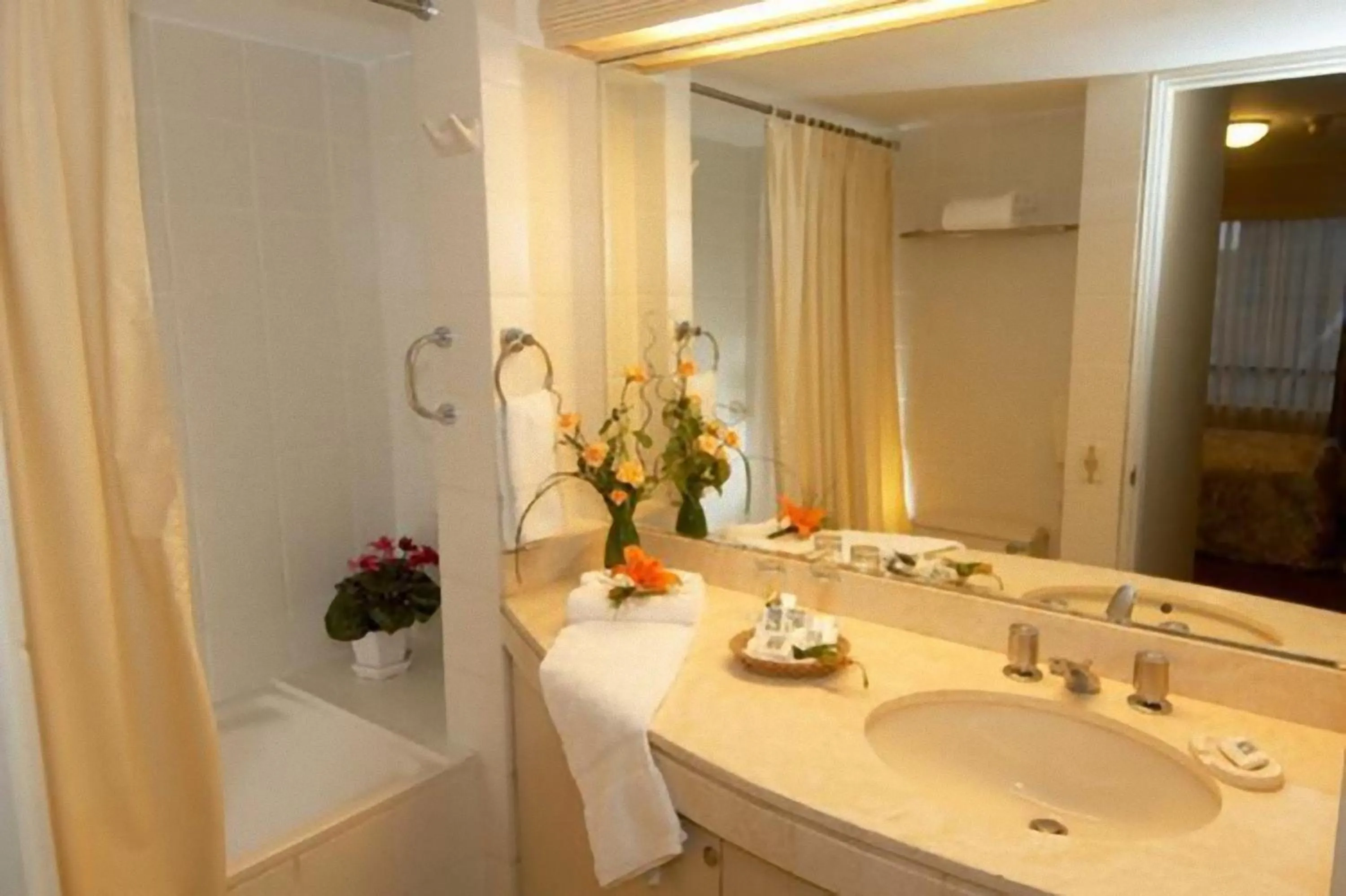 Bathroom in Roosevelt Hotel & Suites