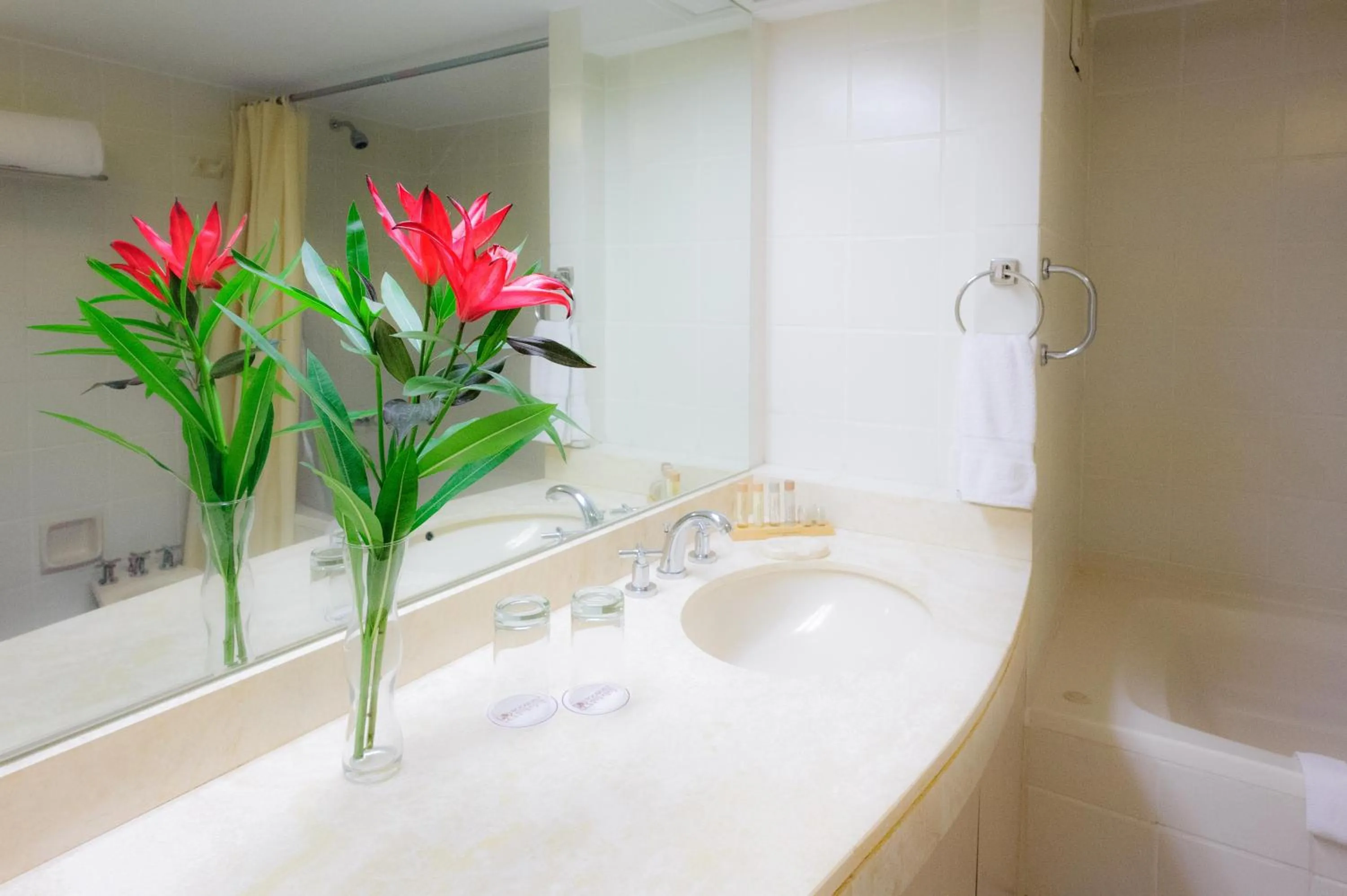 Bathroom in Roosevelt Hotel & Suites