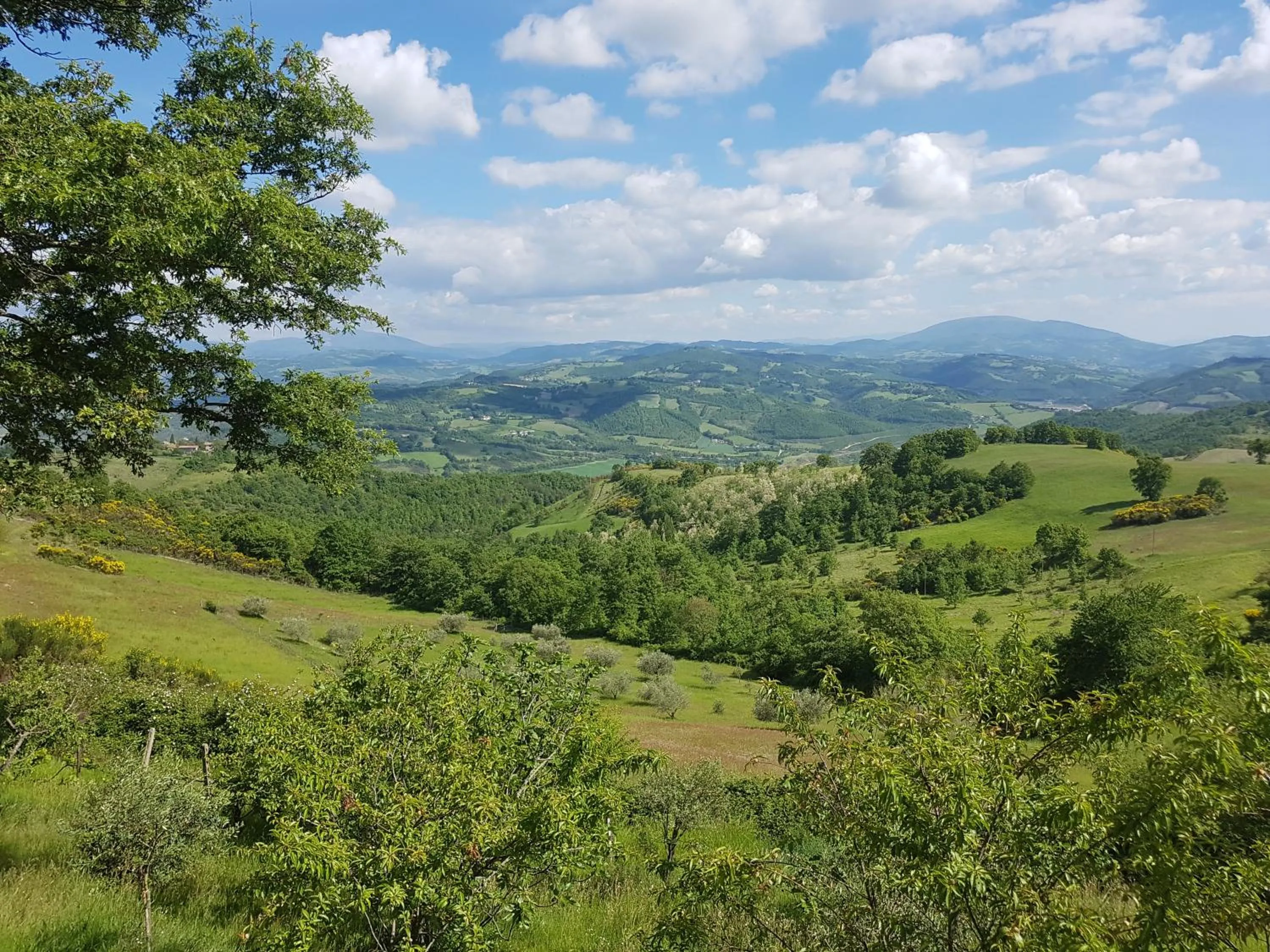 Summer in Casalotto Francescano