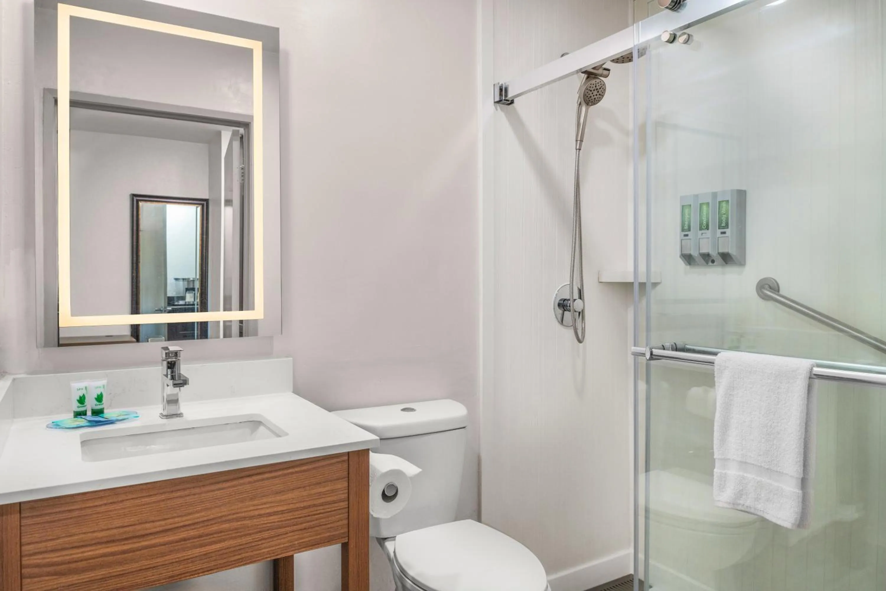 Shower in Brisa Pacific Hotel Encinitas