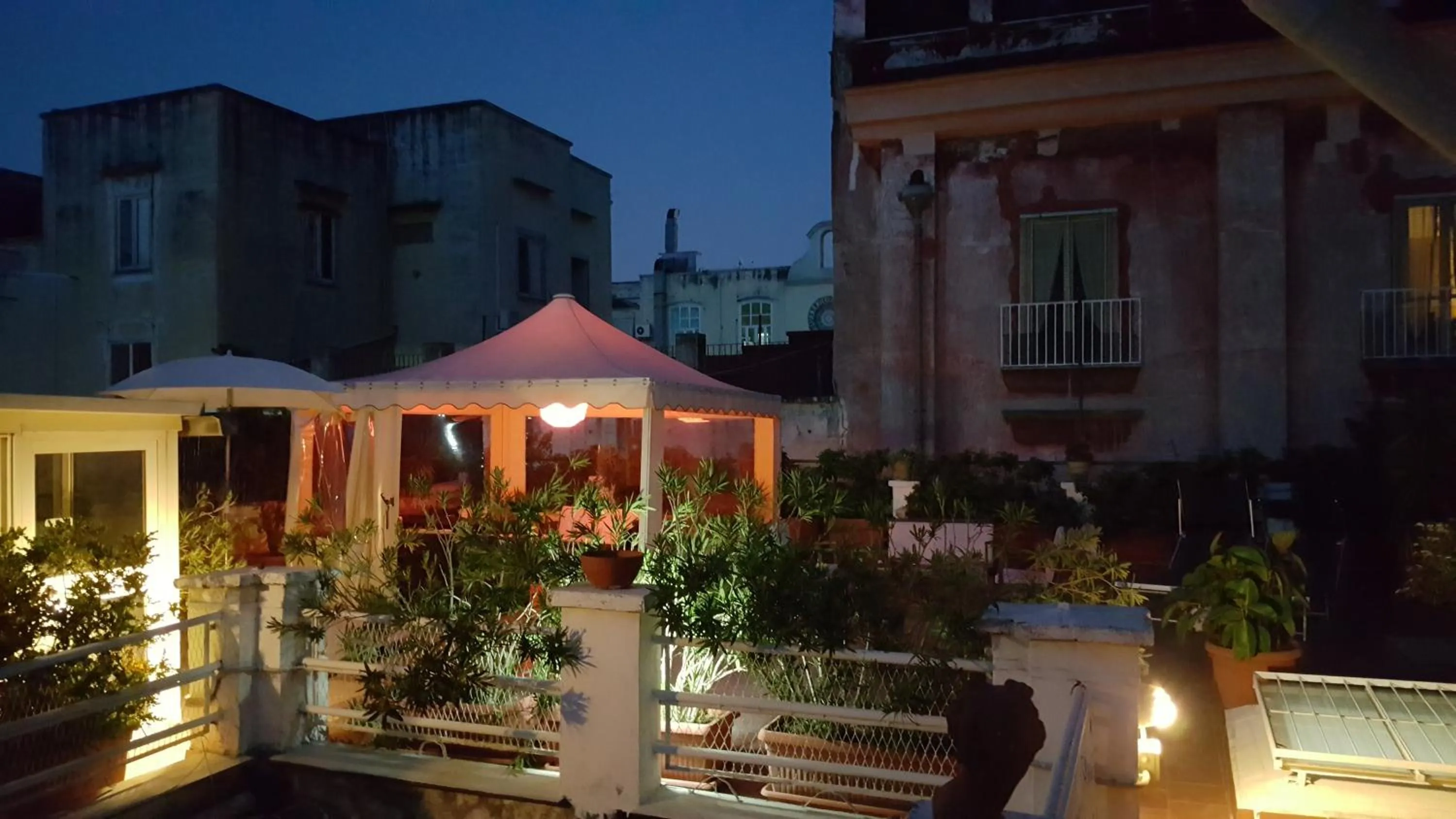 Garden view in B&B Soriano44