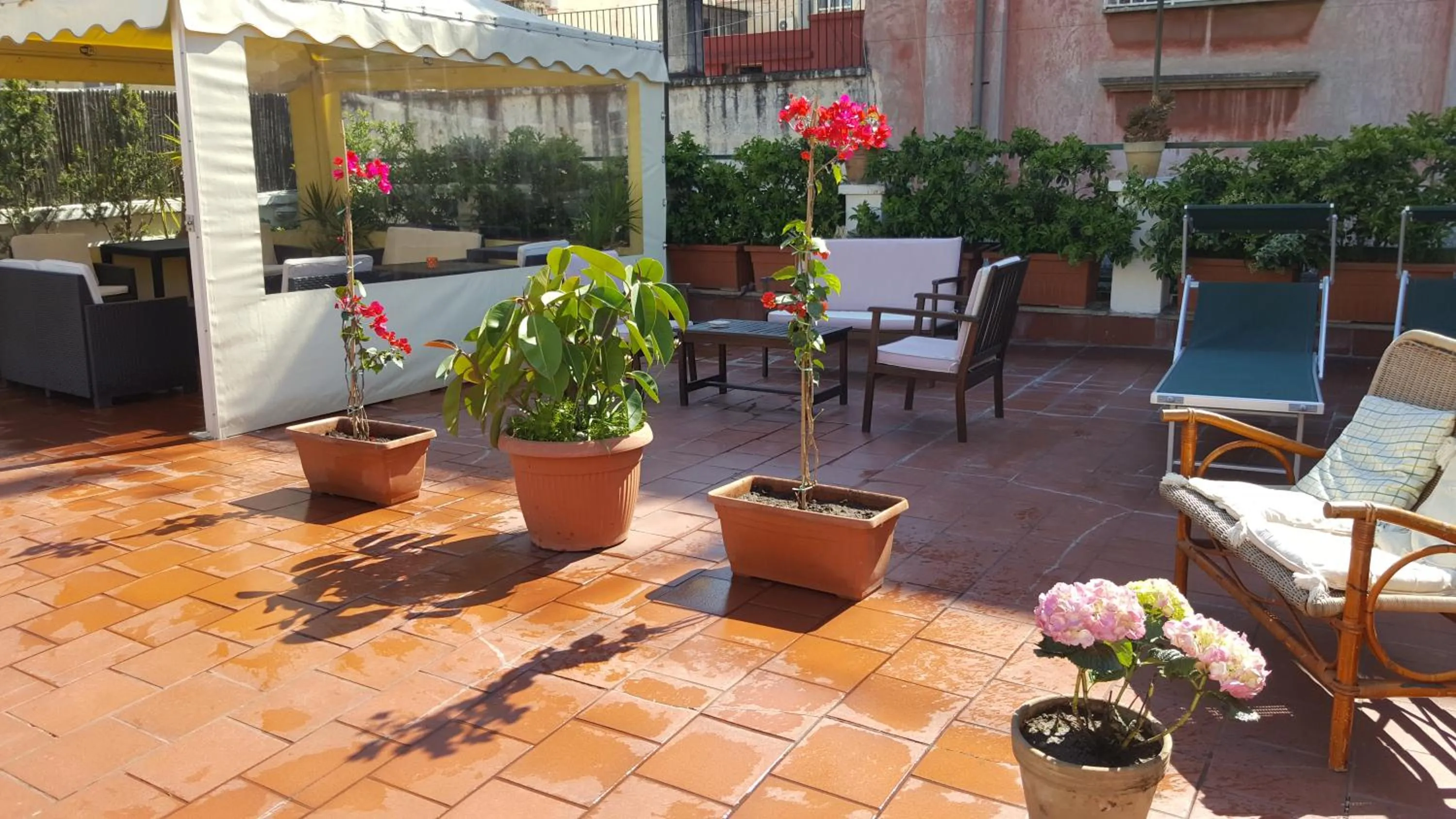 Garden view in B&B Soriano44