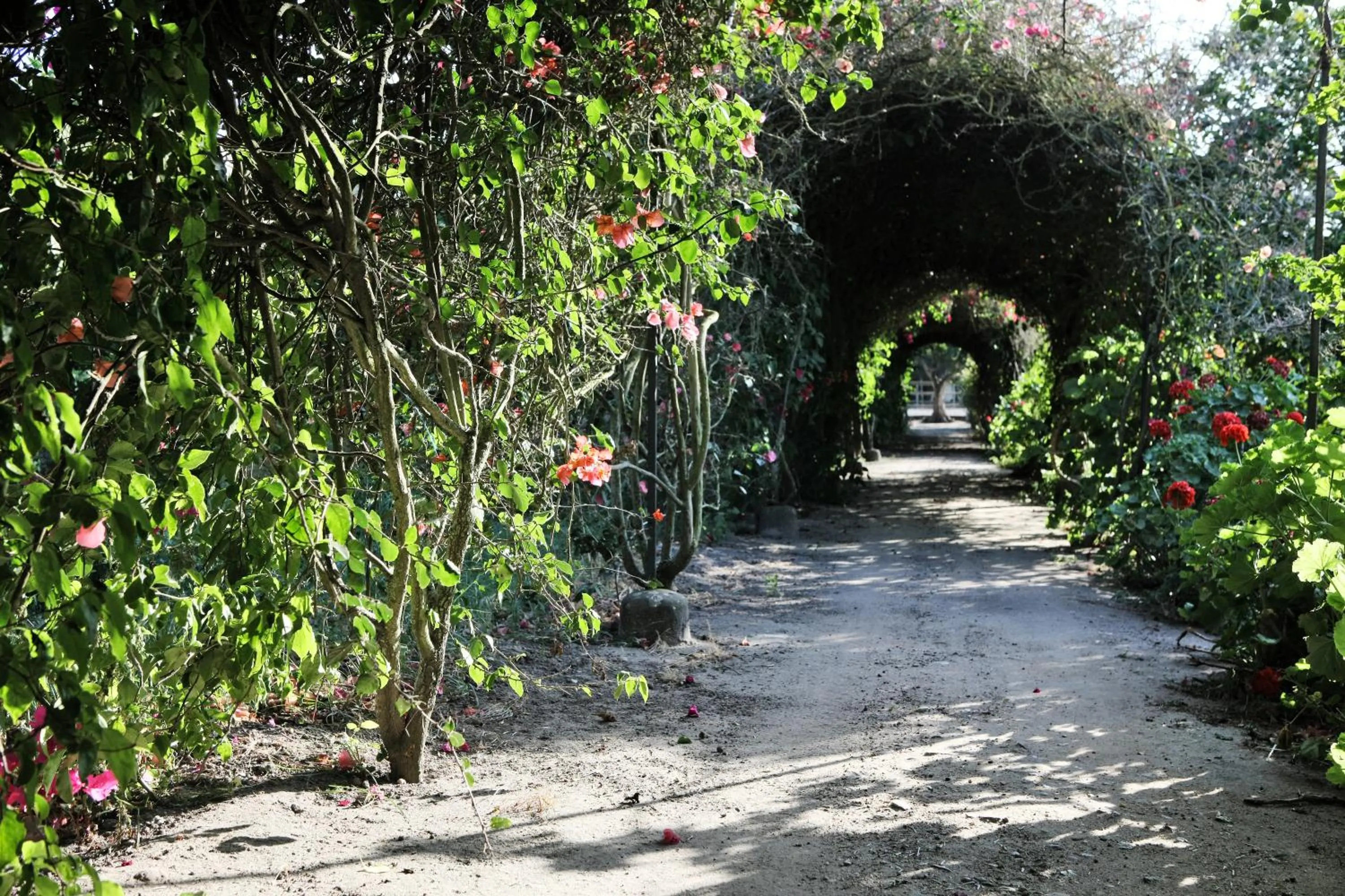 Garden in Quinta Da Praia Das Fontes