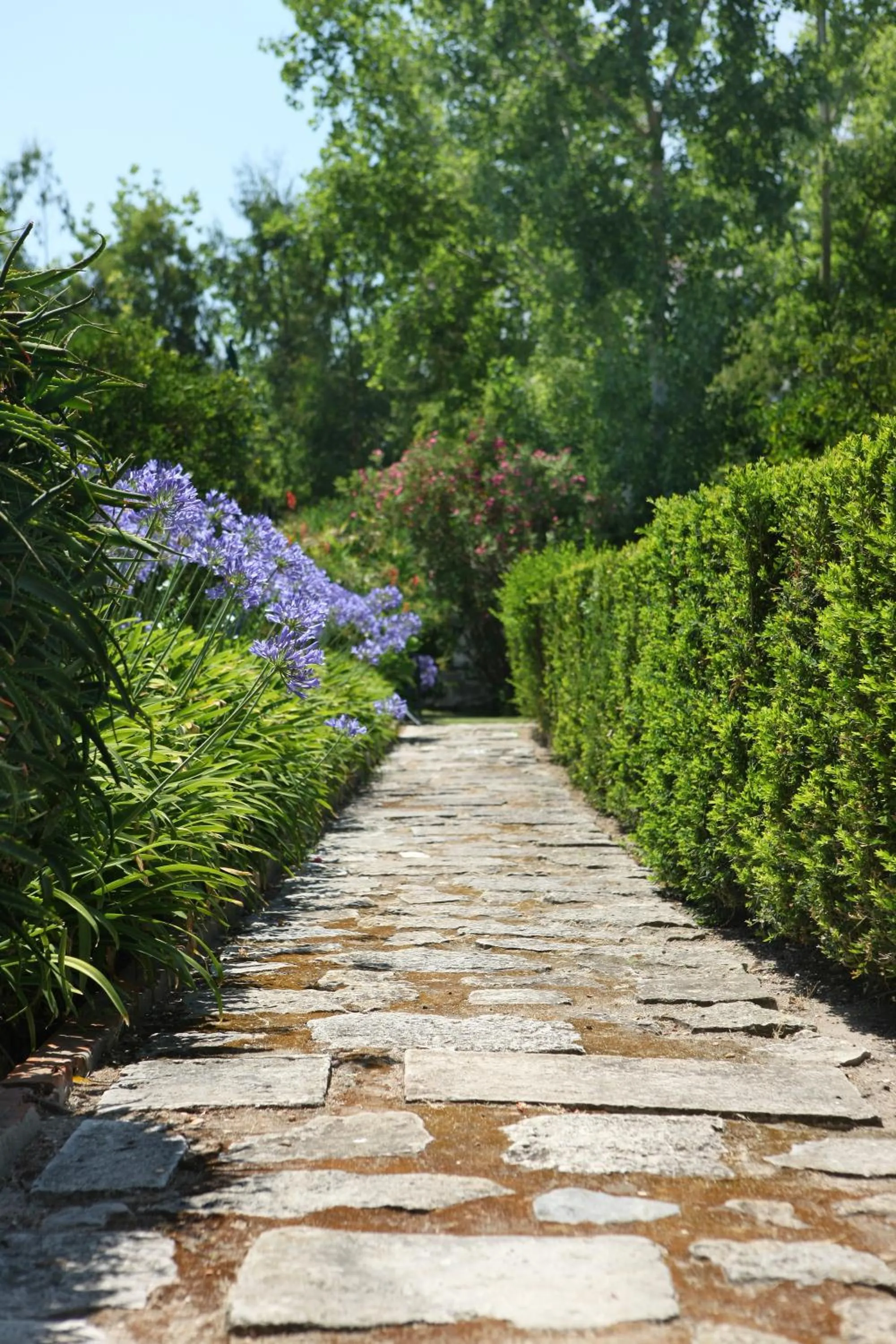 Garden in Quinta Da Praia Das Fontes