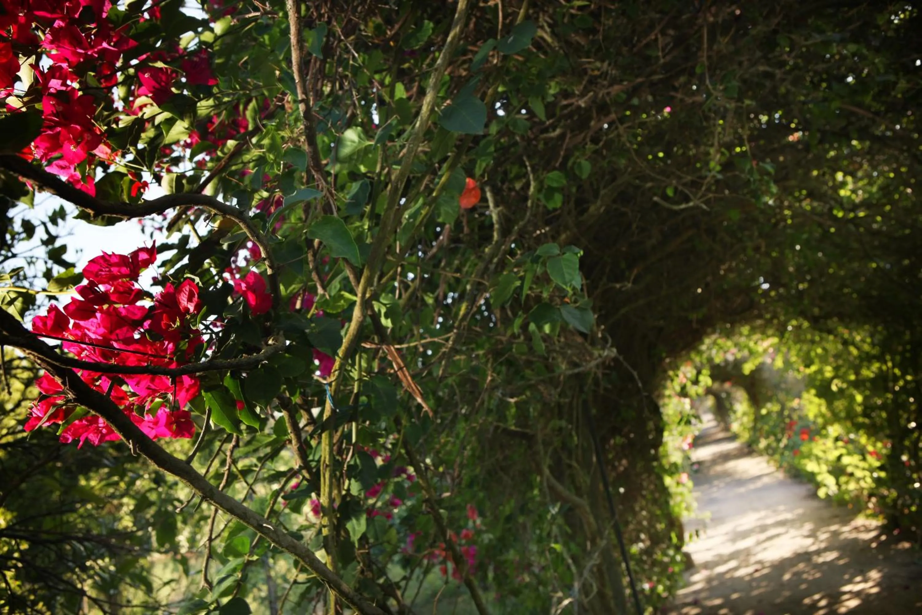 Garden in Quinta Da Praia Das Fontes