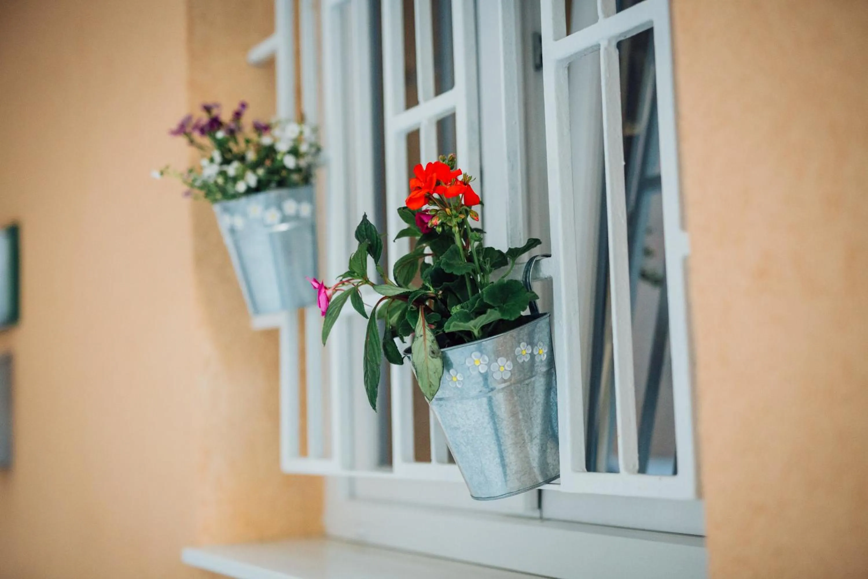 Facade/entrance in Porta Adriatica