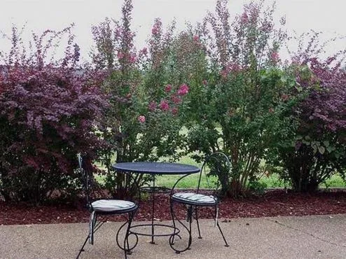 Baymont by Wyndham Madisonville