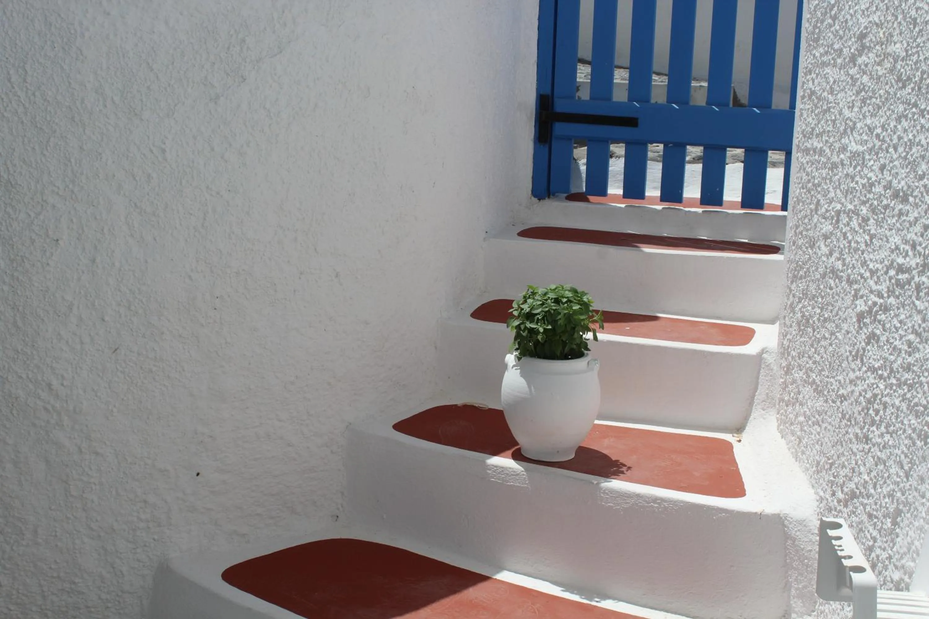 Patio in Santoimage house