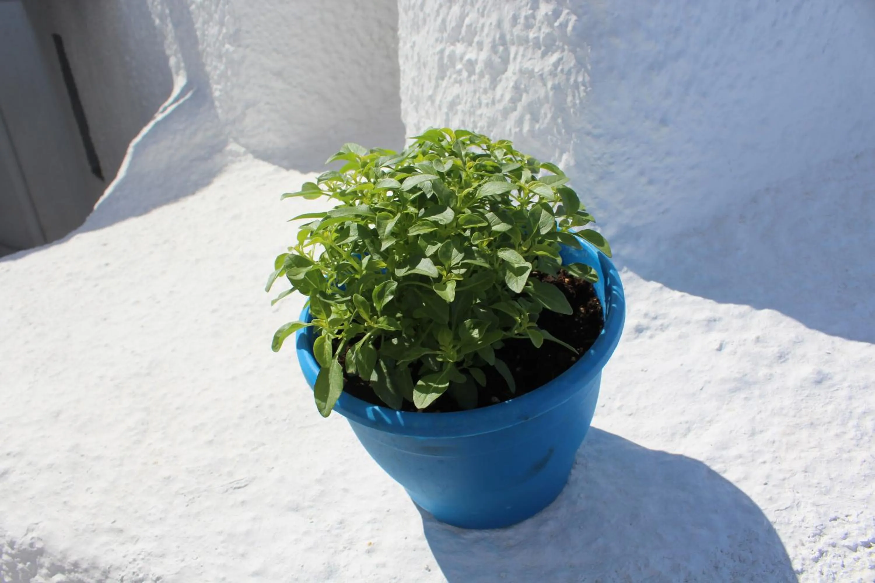 Decorative detail in Santoimage house