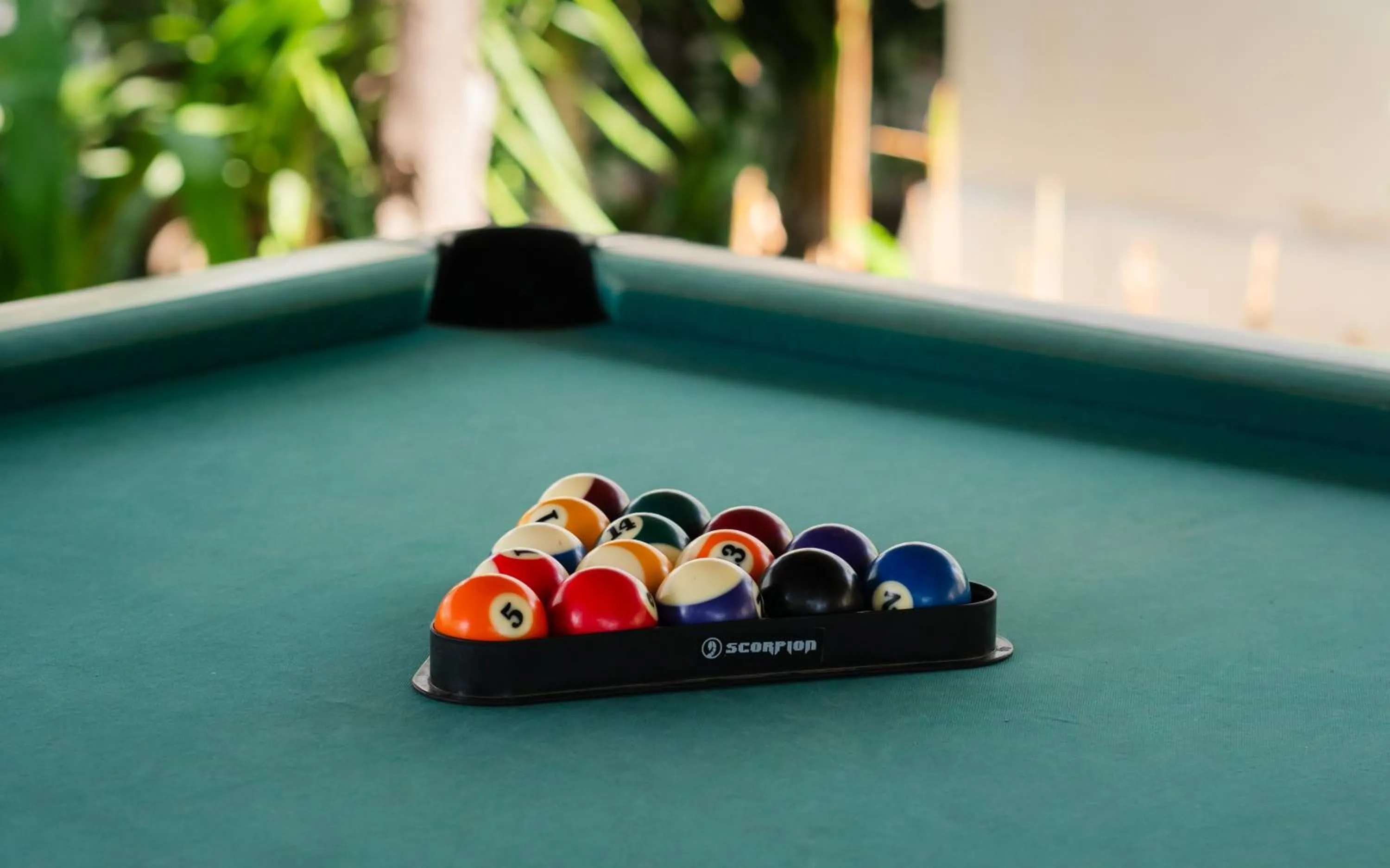 Activities in Vila Ombak