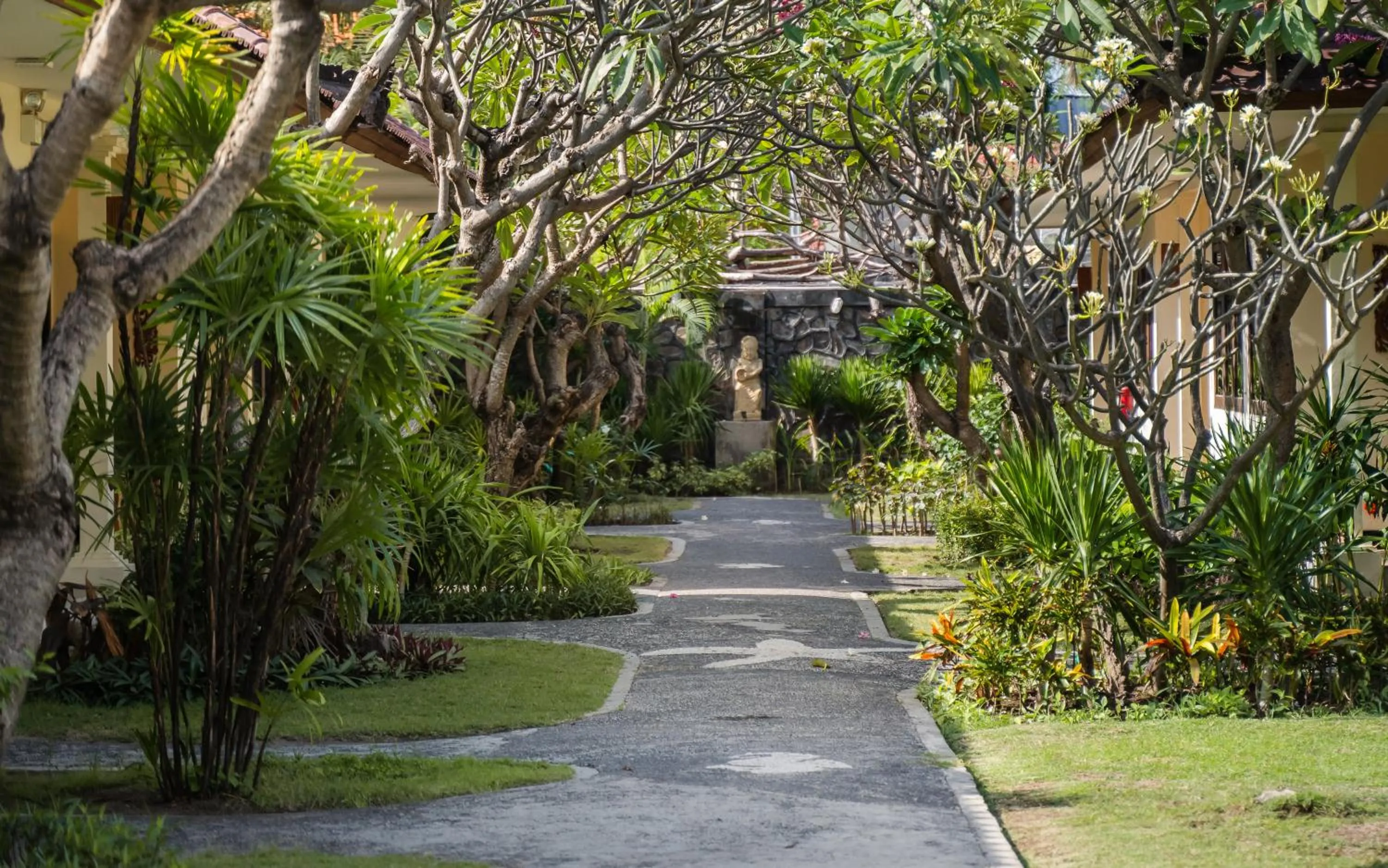 Natural landscape in Vila Ombak