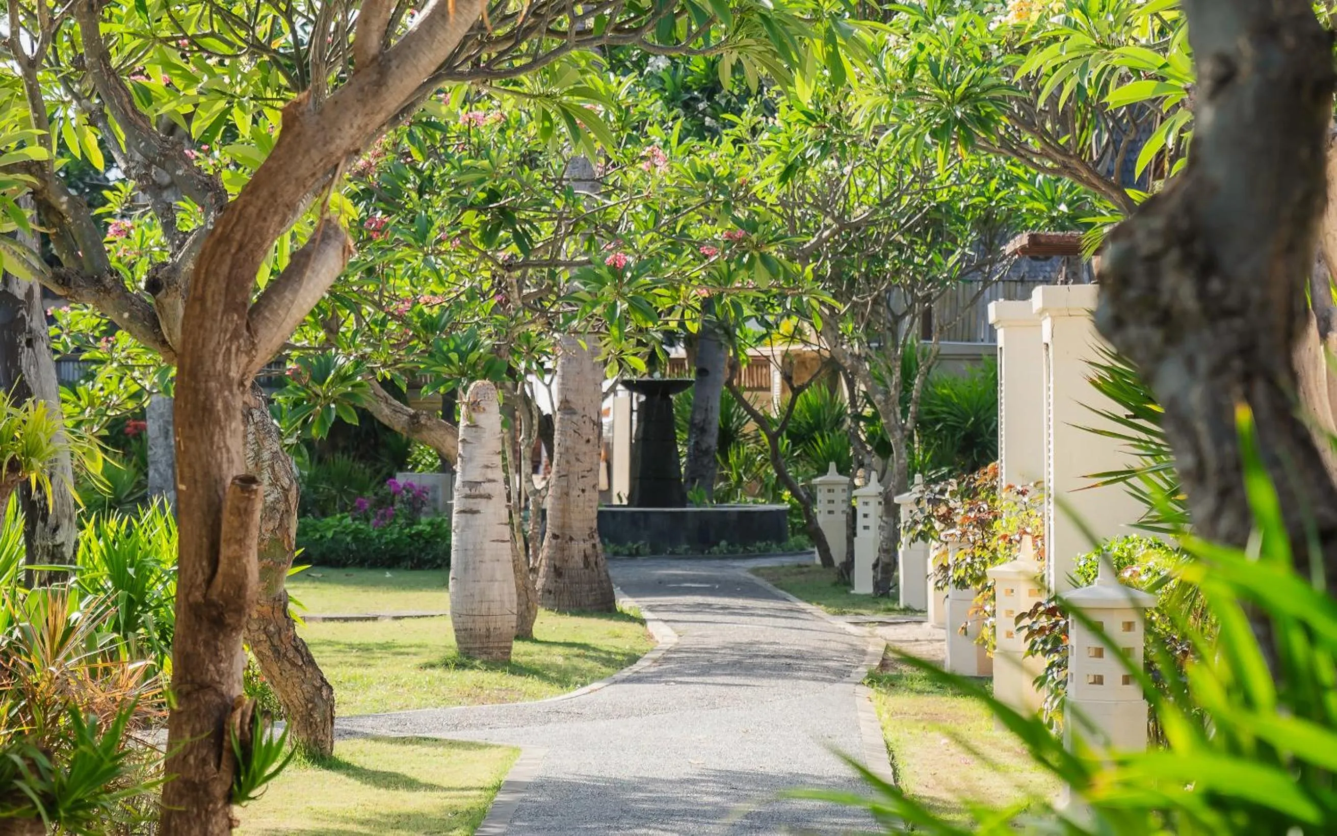 Natural landscape in Vila Ombak