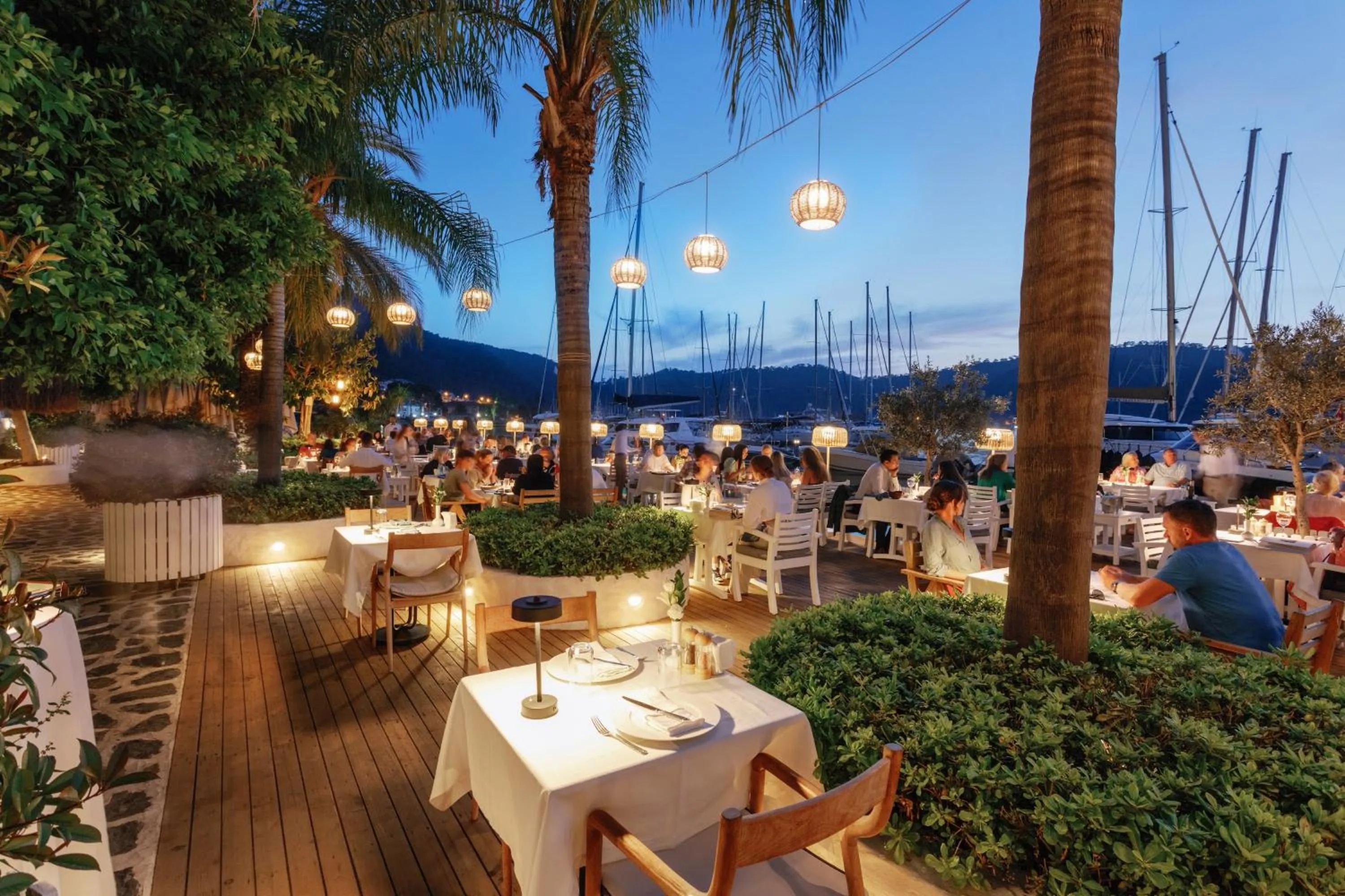 Garden in Yacht Classic Hotel - Boutique Class