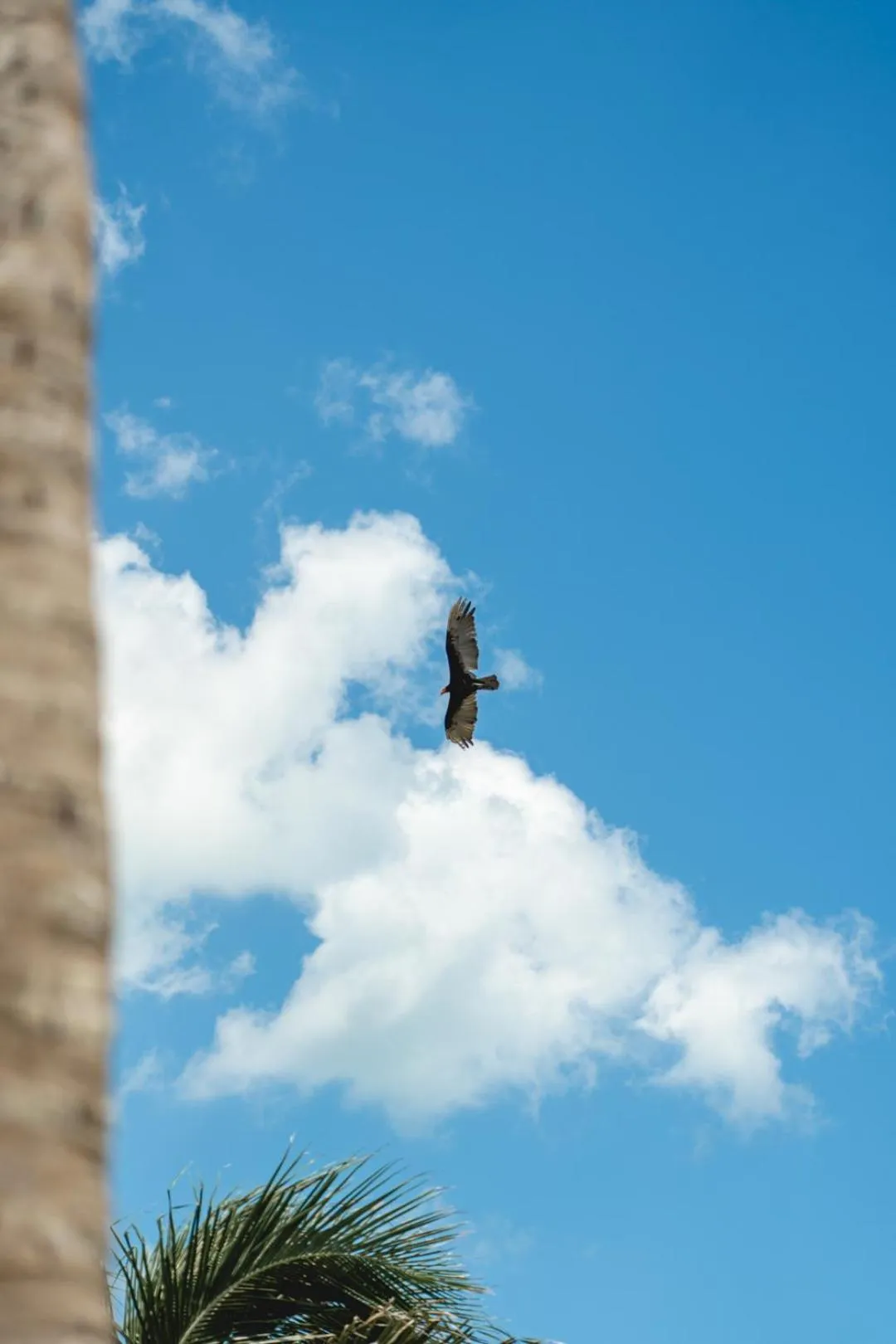 Day in Hotel La Casa Cielo solo adultos