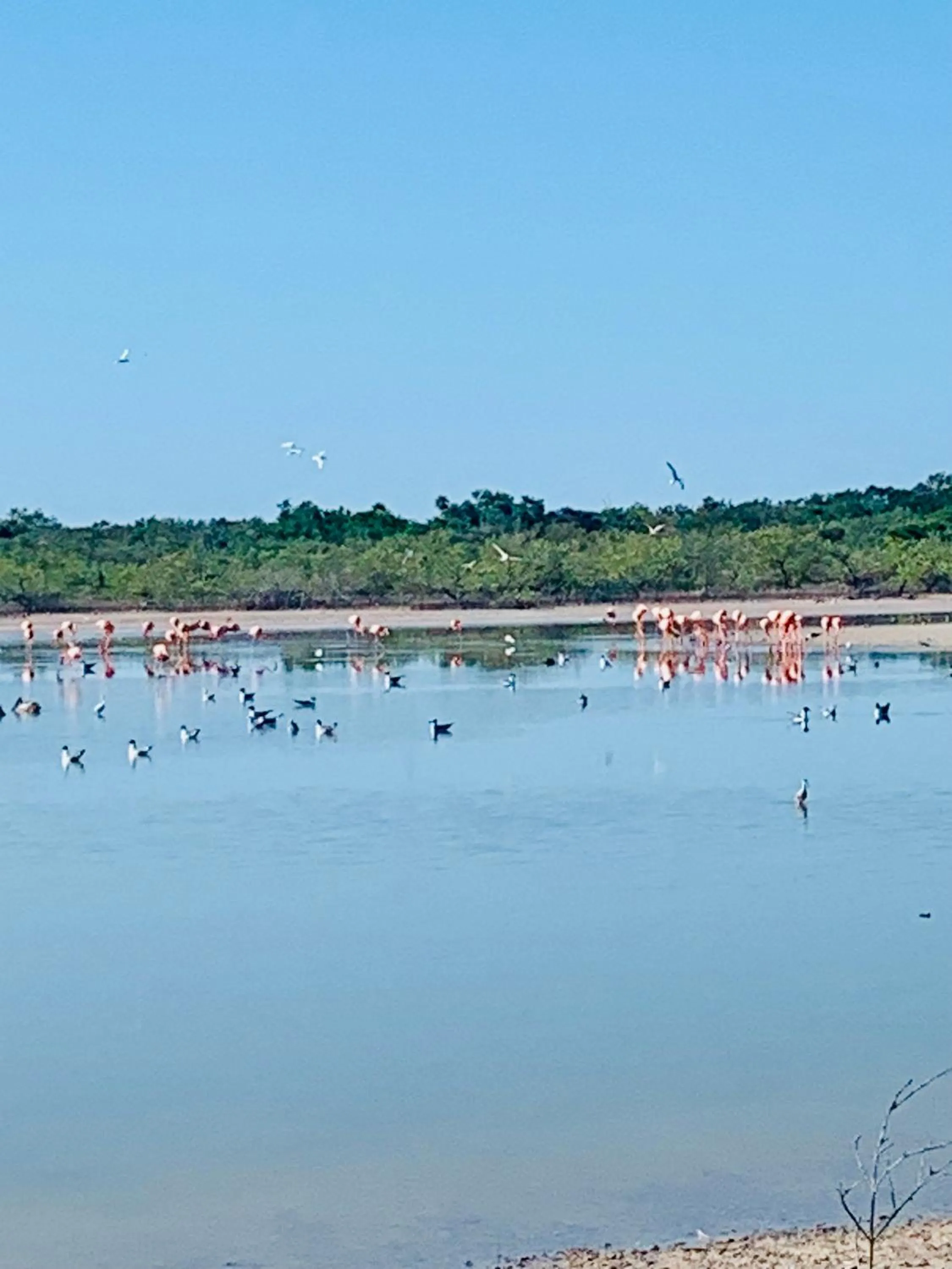 Natural landscape in Hotel La Casa Cielo solo adultos