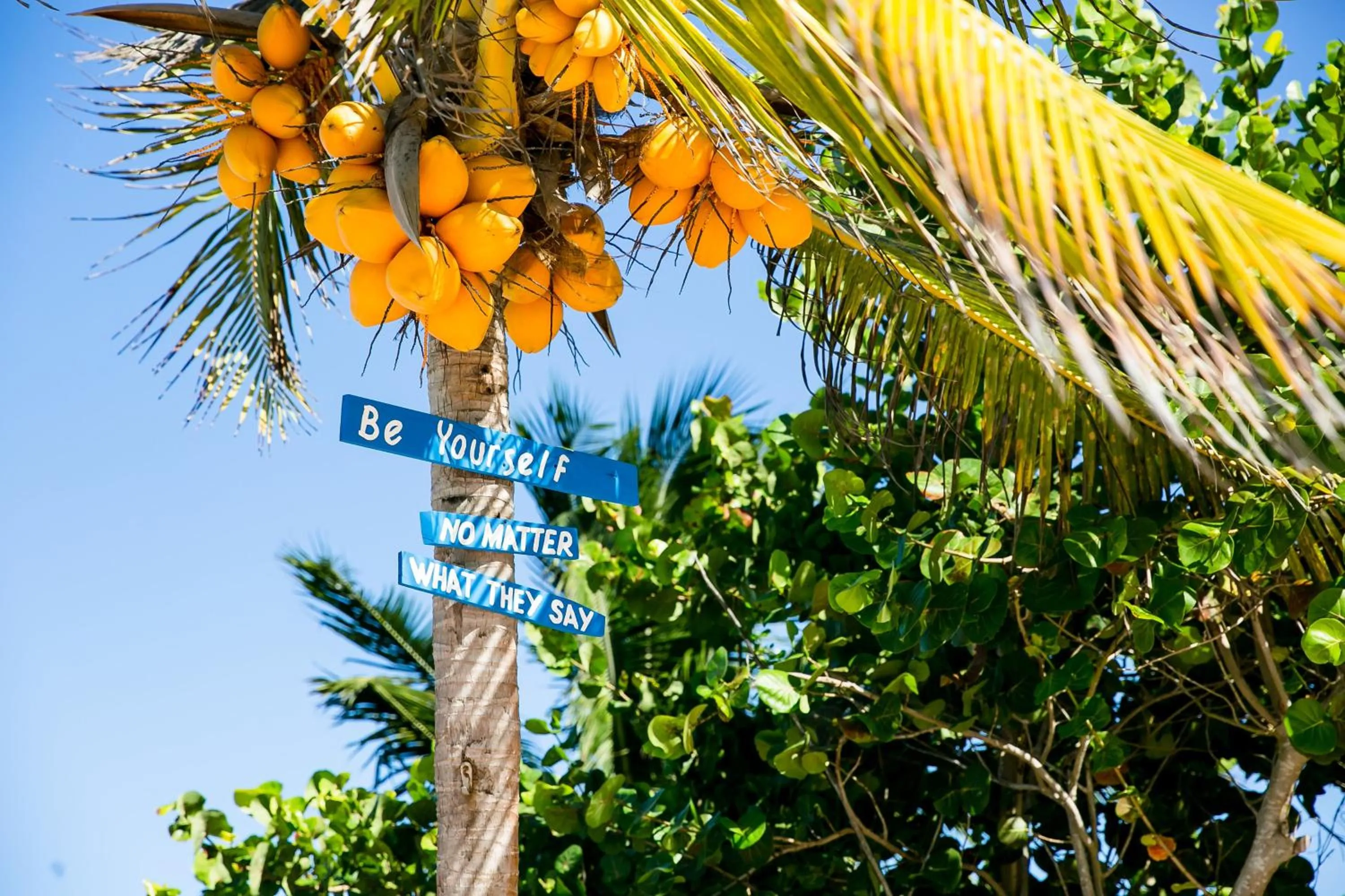 Decorative detail in Hotel La Casa Cielo solo adultos