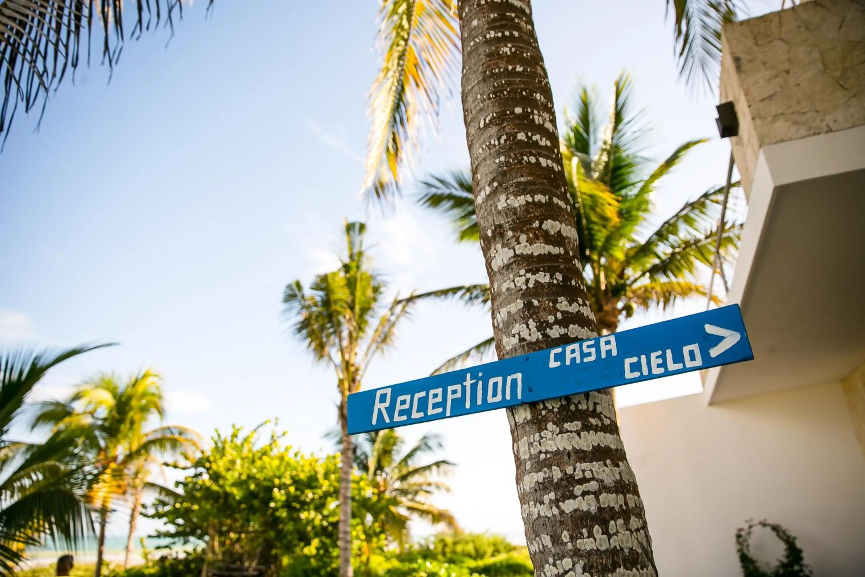 Lobby or reception in Hotel La Casa Cielo solo adultos