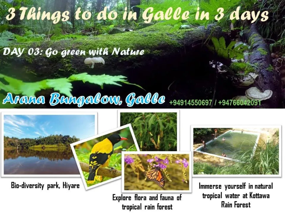 Natural landscape in Arana Bungalow