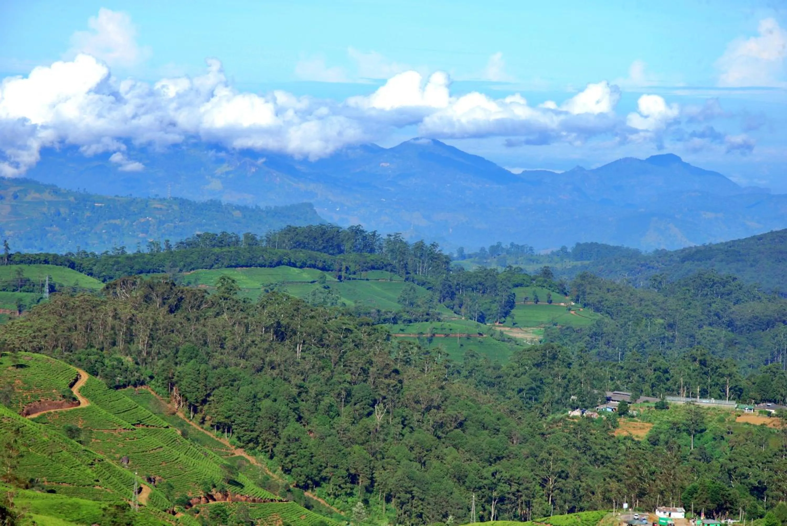 Natural landscape in Cottage San Francesco