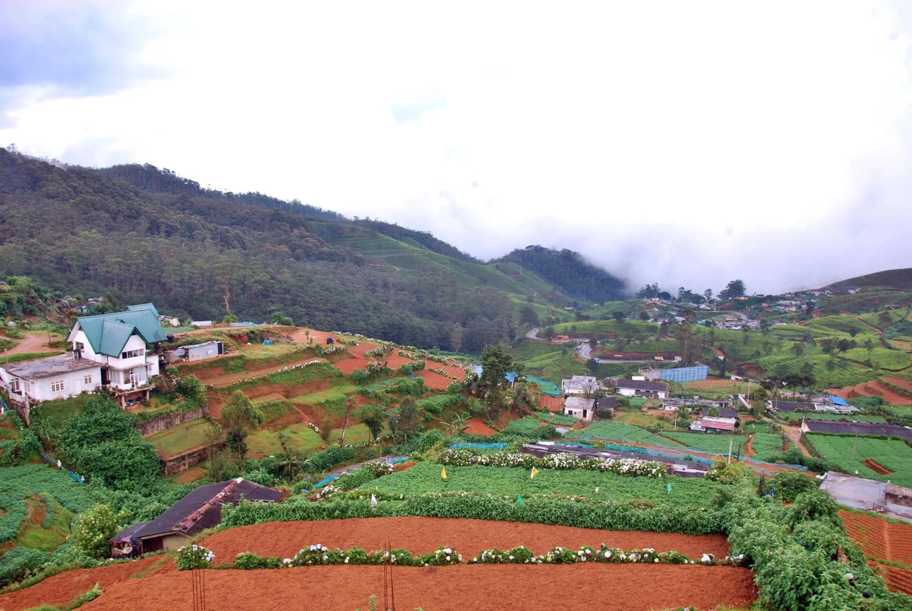 Natural landscape in Cottage San Francesco
