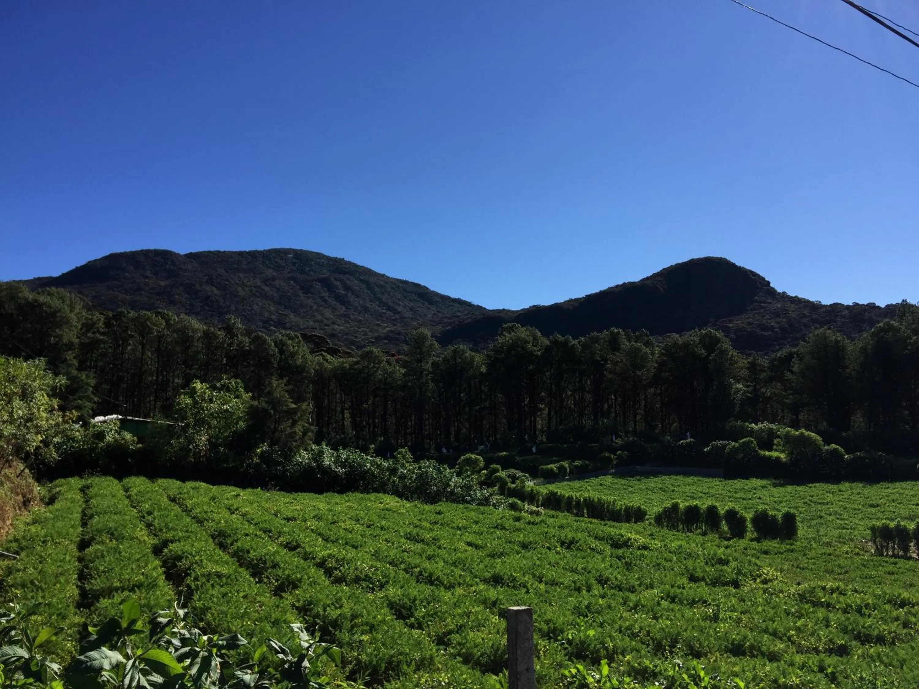 Off site in Cottage San Francesco