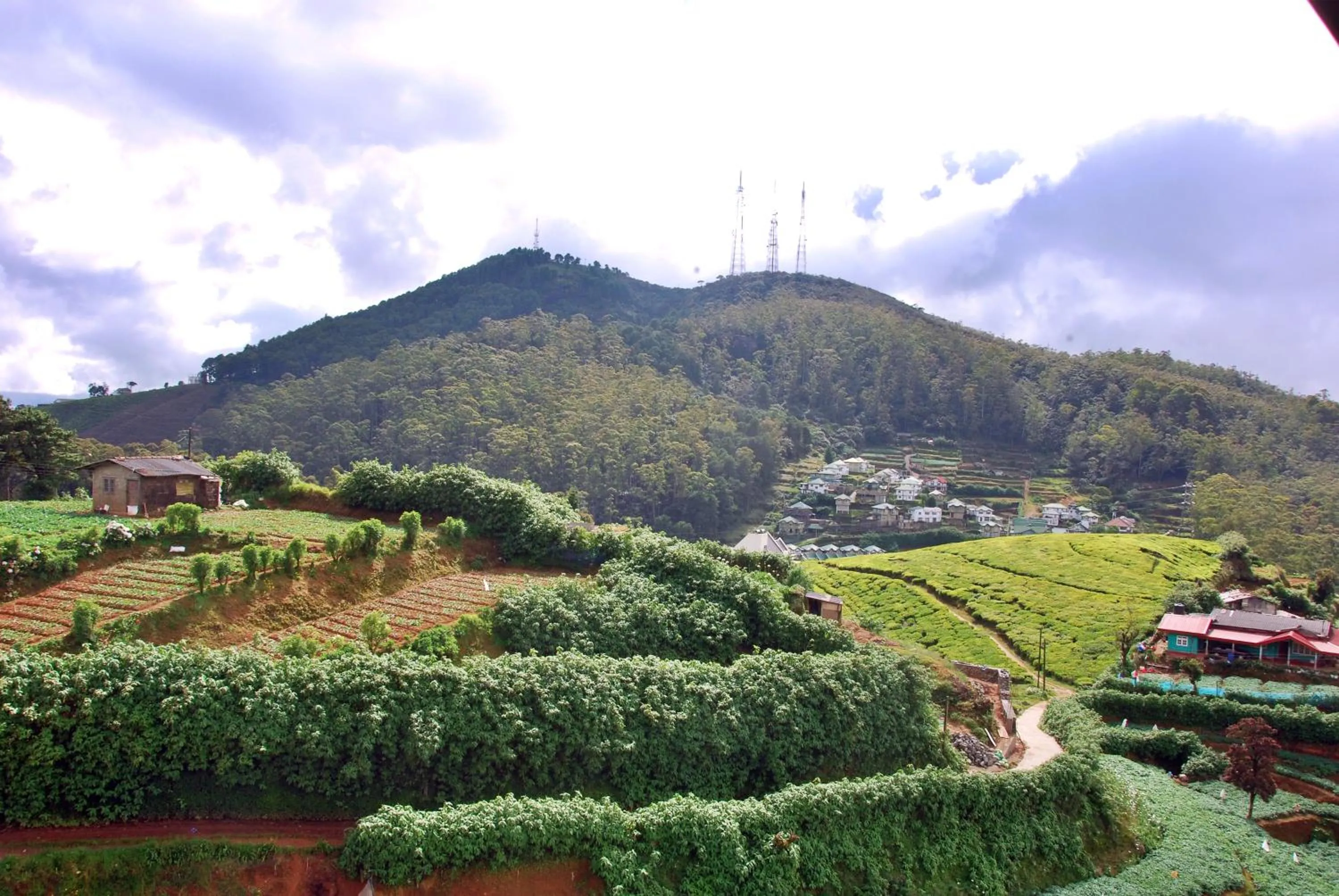 Natural landscape in Cottage San Francesco